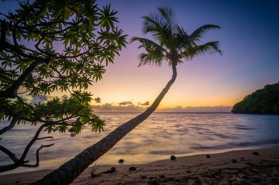 Tropical Beach 桌布 壁紙 — 一棵孤獨的棕櫚樹在日落時分斜倚在寧靜的海灘上，充滿活力的紫色和橙色天空映照在平靜的水面上。