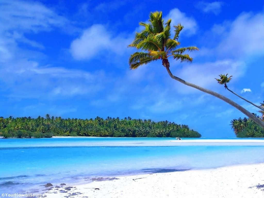 Hawaiian Beach 桌布 壁紙 — 一棵孤獨的棕櫚樹在蔚藍天空和 fluffy 雲朵下，斜倚在碧綠海水旁純淨的白色沙灘上。