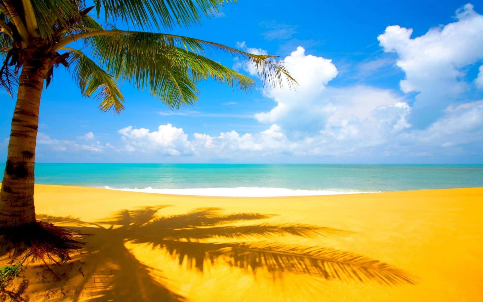 Hawaii Beach 桌布 壁紙 — 一棵孤獨的棕櫚樹在金色沙灘上投下長長的影子，旁邊是碧綠的海浪，上方是明亮的藍天和蓬鬆的白雲。