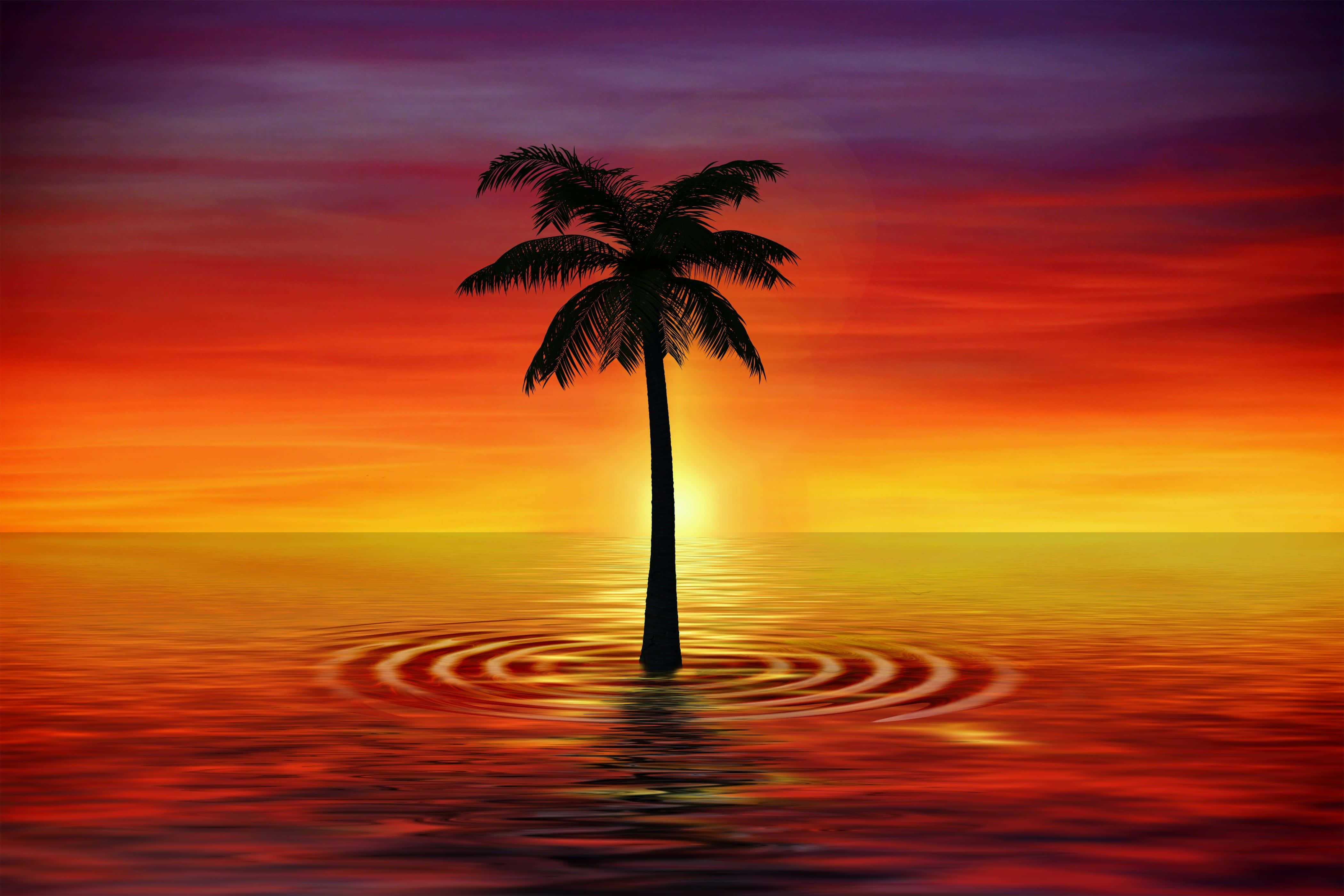 Coconut Tree 桌布 壁紙 — 一棵孤獨的棕櫚樹矗立在平靜的水面上，鮮豔的夕陽將天空染成火紅、橙色和紫色。