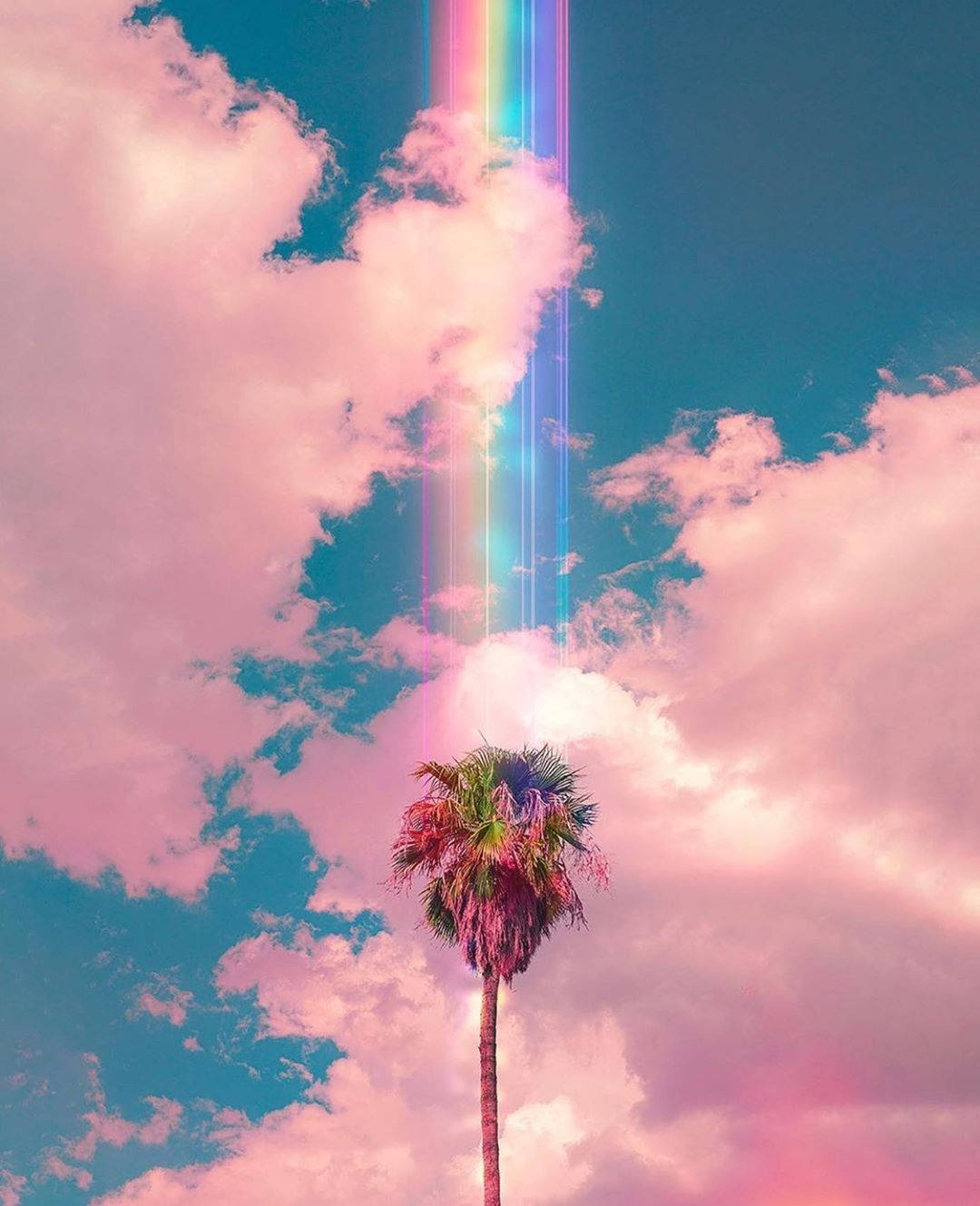 雲朵 桌布 壁紙 — 一棵孤獨的棕櫚樹矗立在超現實的天空下，一道鮮豔的彩虹光束穿透粉紅色的雲層。