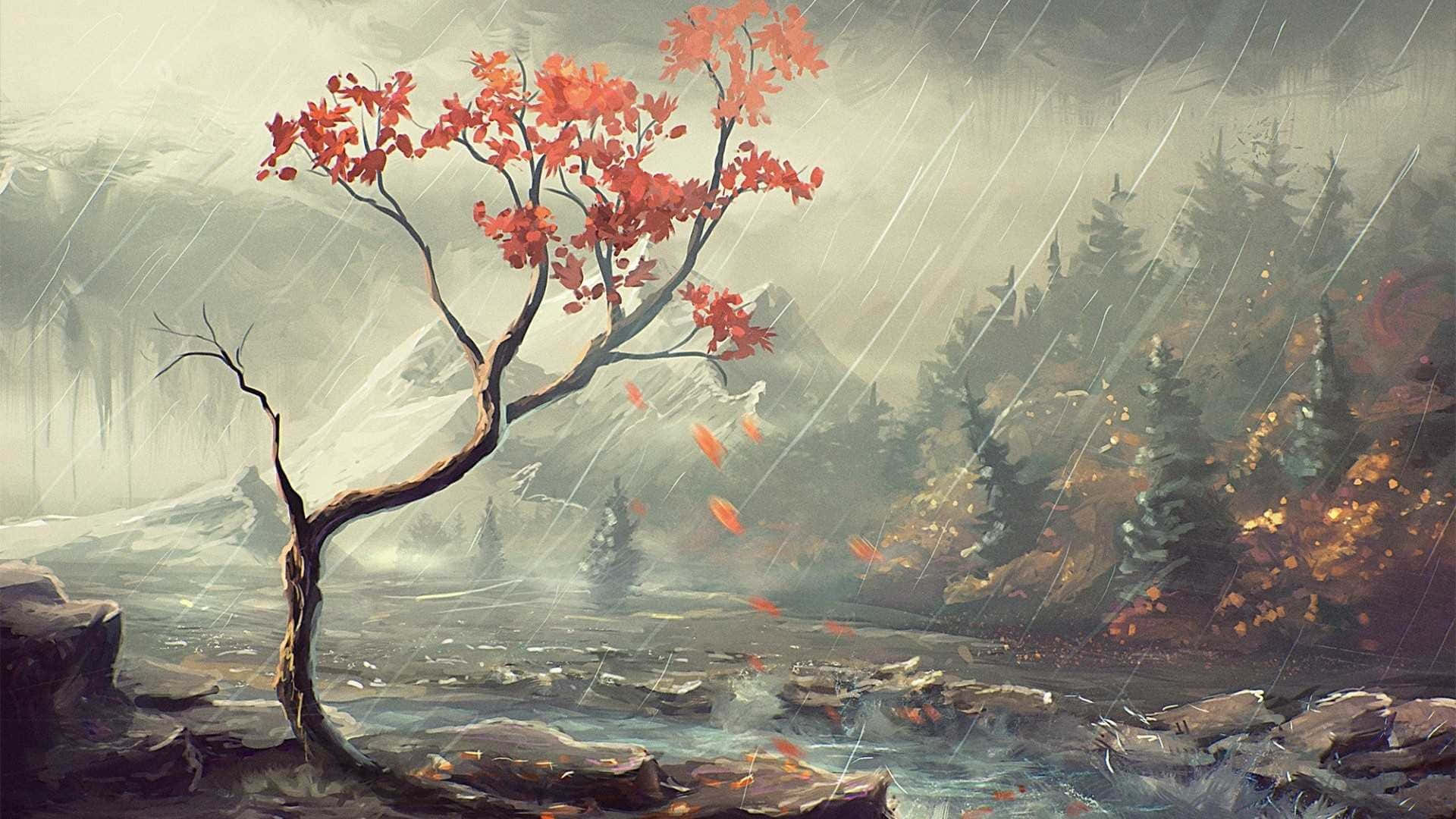 桌布 壁紙 — 一棵孤獨的樹，帶有火紅的葉子，在雨中屹立於山間溪流，周圍是霧氣繚繞的常青樹。