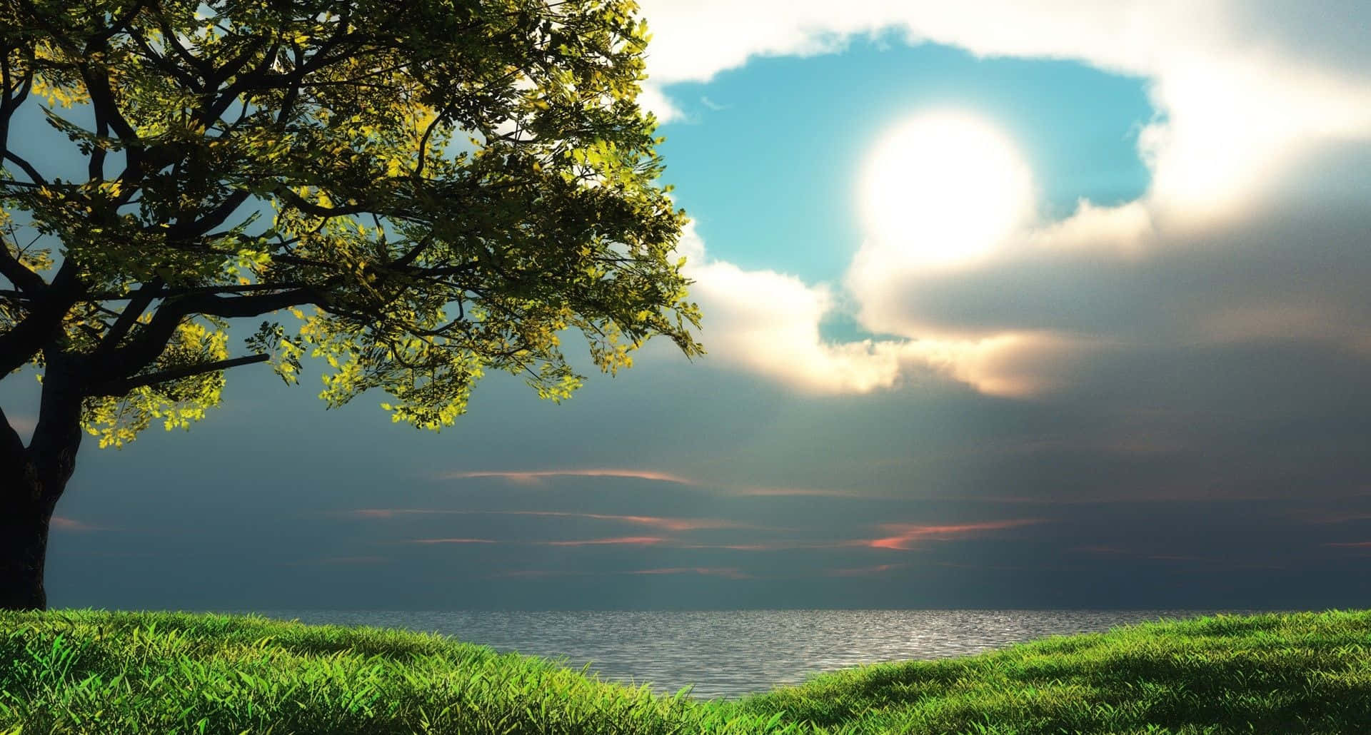 1920X1080 桌布 壁紙 — 一棵孤獨的樹，帶有鮮綠色的葉子，站在草坡上，俯瞰平靜的大海，天空戲劇性，陽光穿過雲層。