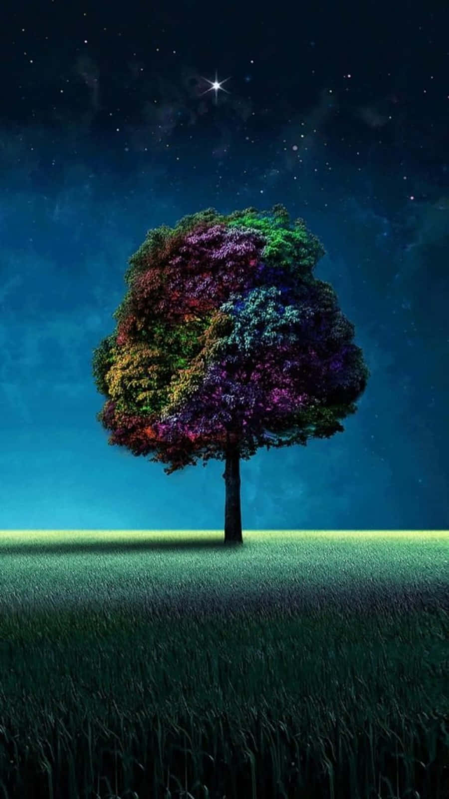 主畫面 桌布 壁紙 — 一棵孤獨的樹，樹葉呈彩虹色，矗立在星空下的草地上方，有一顆明亮的星星。
