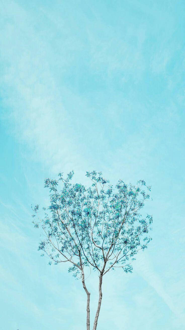 Aesthetic Baby Blue 桌布 壁紙 — 一棵孤獨的樹，葉子稀疏，呈藍綠色，矗立在廣闊的淡藍色天空下，天空中有輕柔的縷縷雲彩。