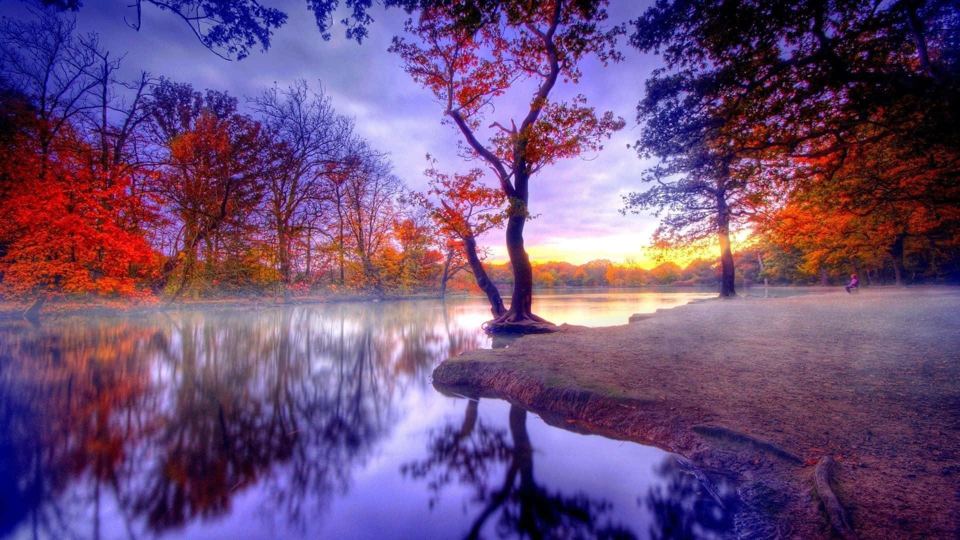 Picturesque 桌布 壁紙 — 一棵孤獨的樹，長著火紅的葉子，佇立在霧氣瀰漫的湖邊，倒映著戲劇性的紫色和橙色日落天空。