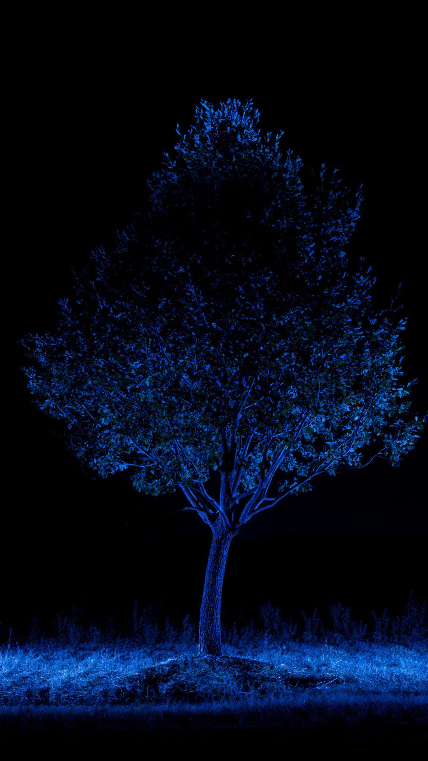 Blue Amoled 桌布 壁紙 — 一棵孤獨的樹在漆黑的夜空中以電光藍色照亮，下方的草地閃閃發光。