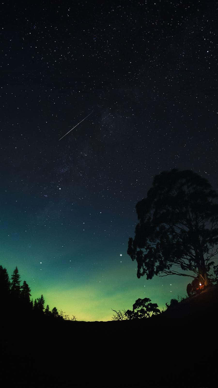 Ambience 桌布 壁紙 — 一棵孤獨的樹在繁星點點的夜空下呈現剪影，一顆明亮的流星劃過頭頂，綠色極光在地平線上閃耀。