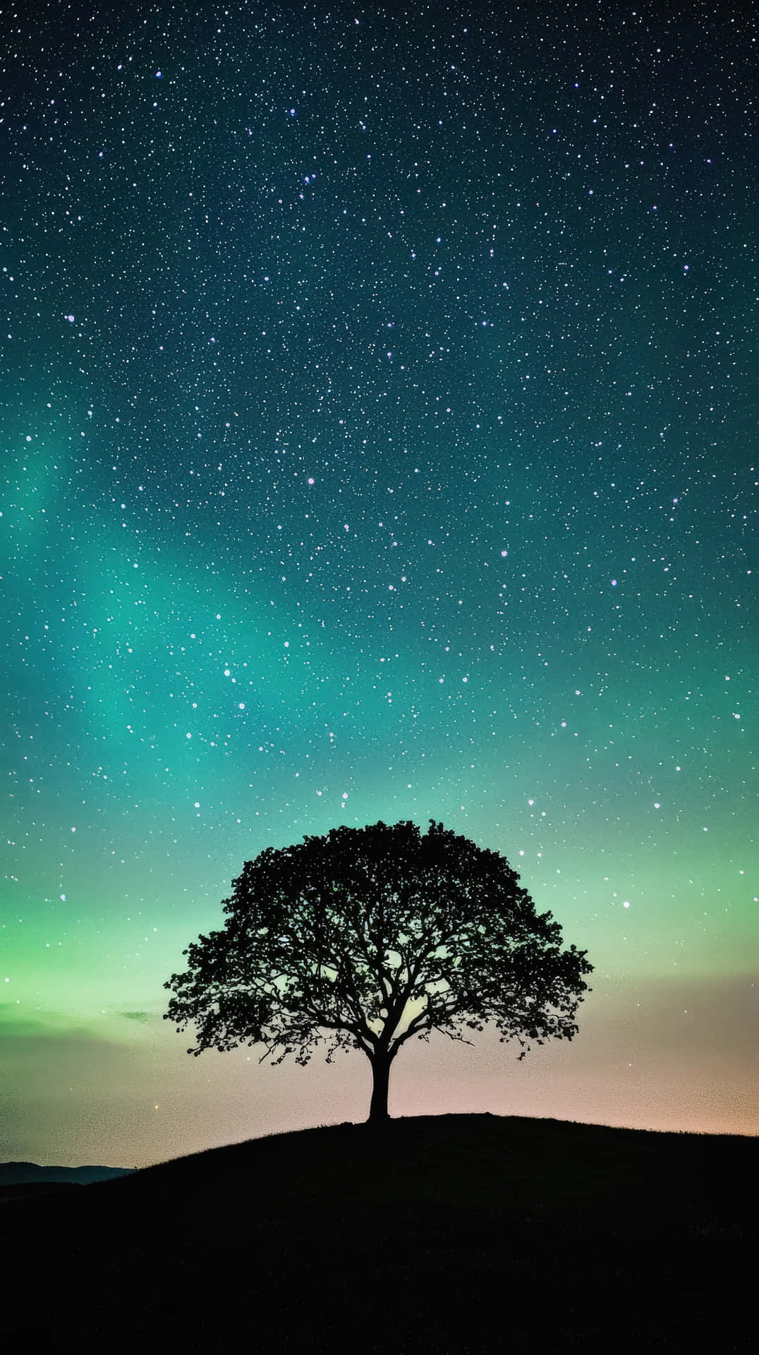 Lone tree silhouette under a star-filled night sky with aurora glow 壁紙 — 一棵孤獨的樹影矗立在山丘上，下方是繁星點點的天空和充滿活力的綠色北極光。