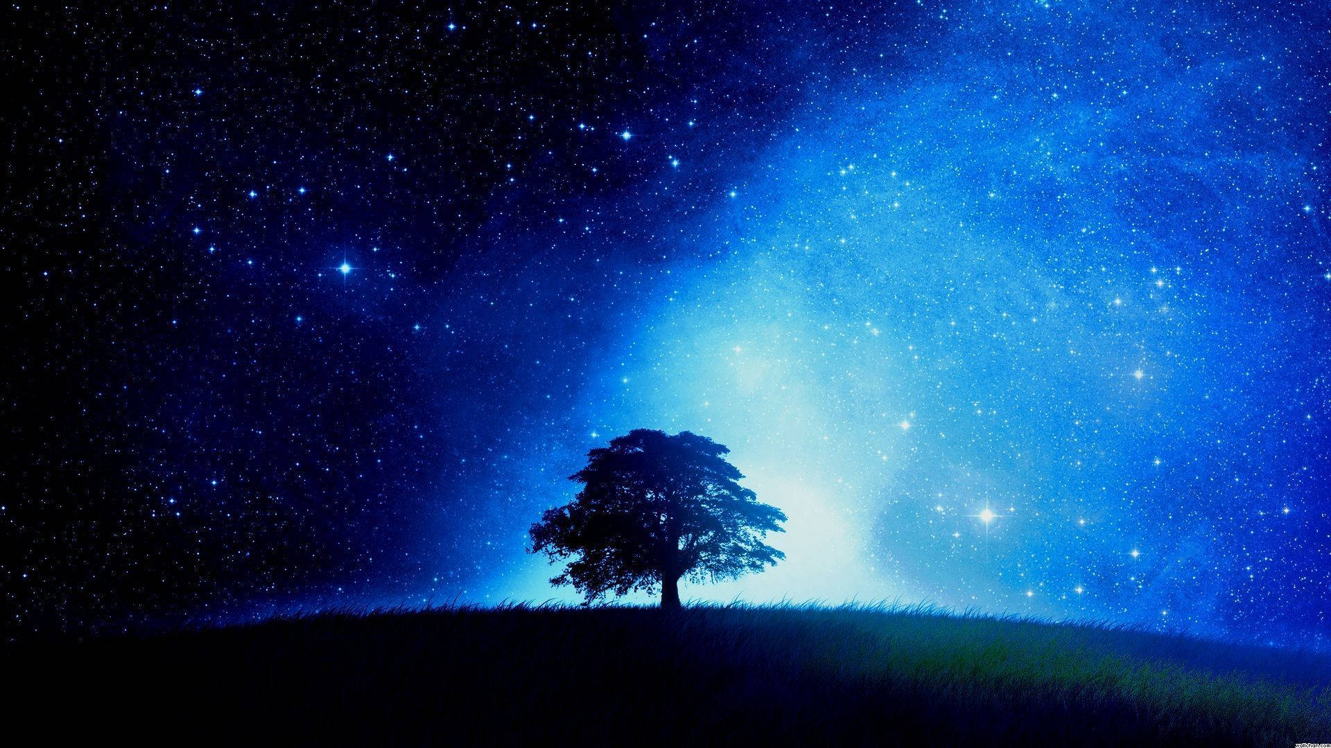 夜空 桌布 壁紙 — 一棵孤獨的樹的剪影矗立在長滿草的山丘上，下方是充滿活力的星空夜空，散發著宇宙藍光。