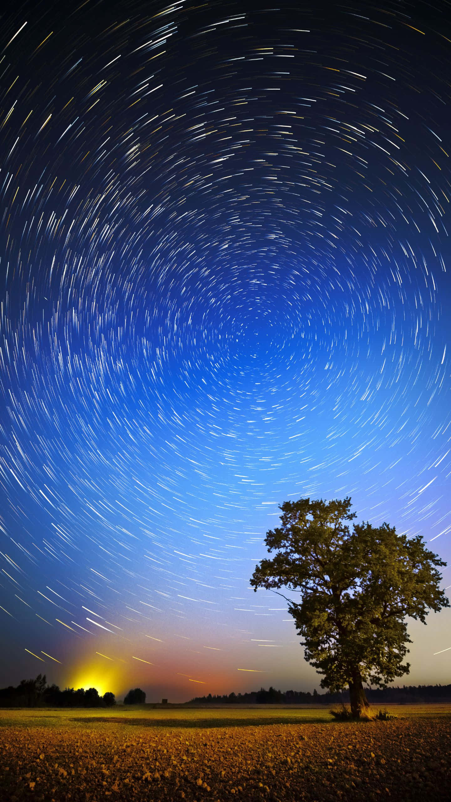 1440x2560 桌布 壁紙 — 一棵孤獨的樹矗立在田野中，下方是充滿星軌和發光地平線的漩渦夜空。