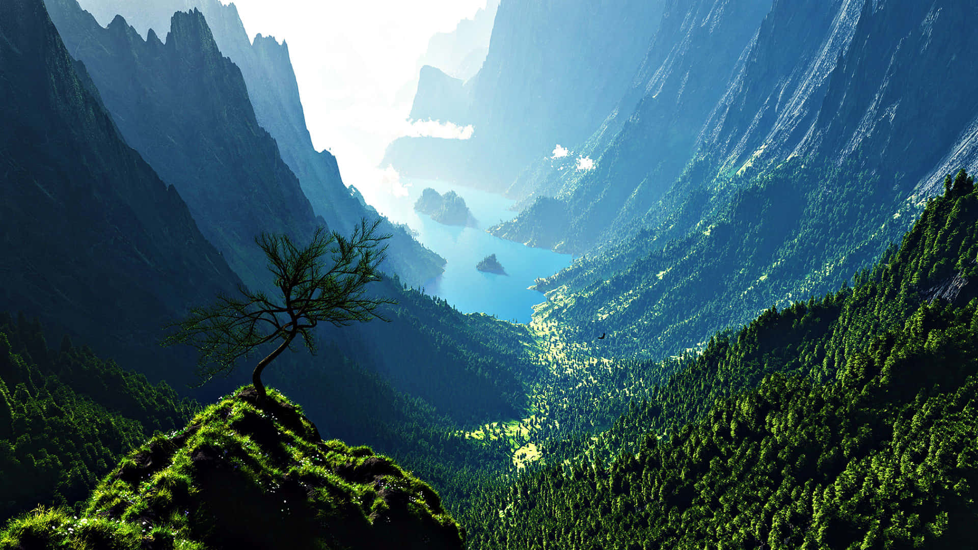 Calm 桌布 壁紙 — 一棵孤獨的樹矗立在長滿苔蘚的懸崖上，俯瞰著深谷，谷中明亮的藍色湖泊坐落在高聳的綠色山脈之間。