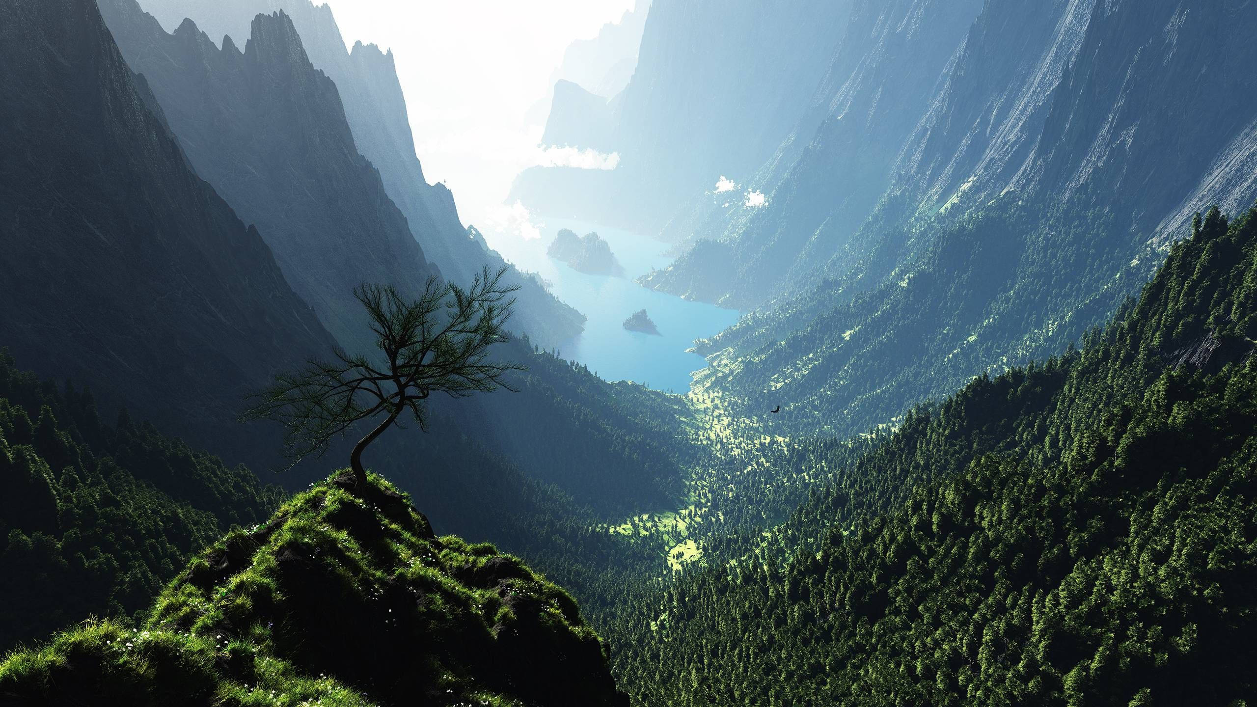 山景 桌布 壁紙 — 一棵孤獨的樹矗立在長滿苔蘚的懸崖頂上，俯瞰著深谷，寧靜的藍色湖泊 nestled 在高聳的綠色山脈之間。