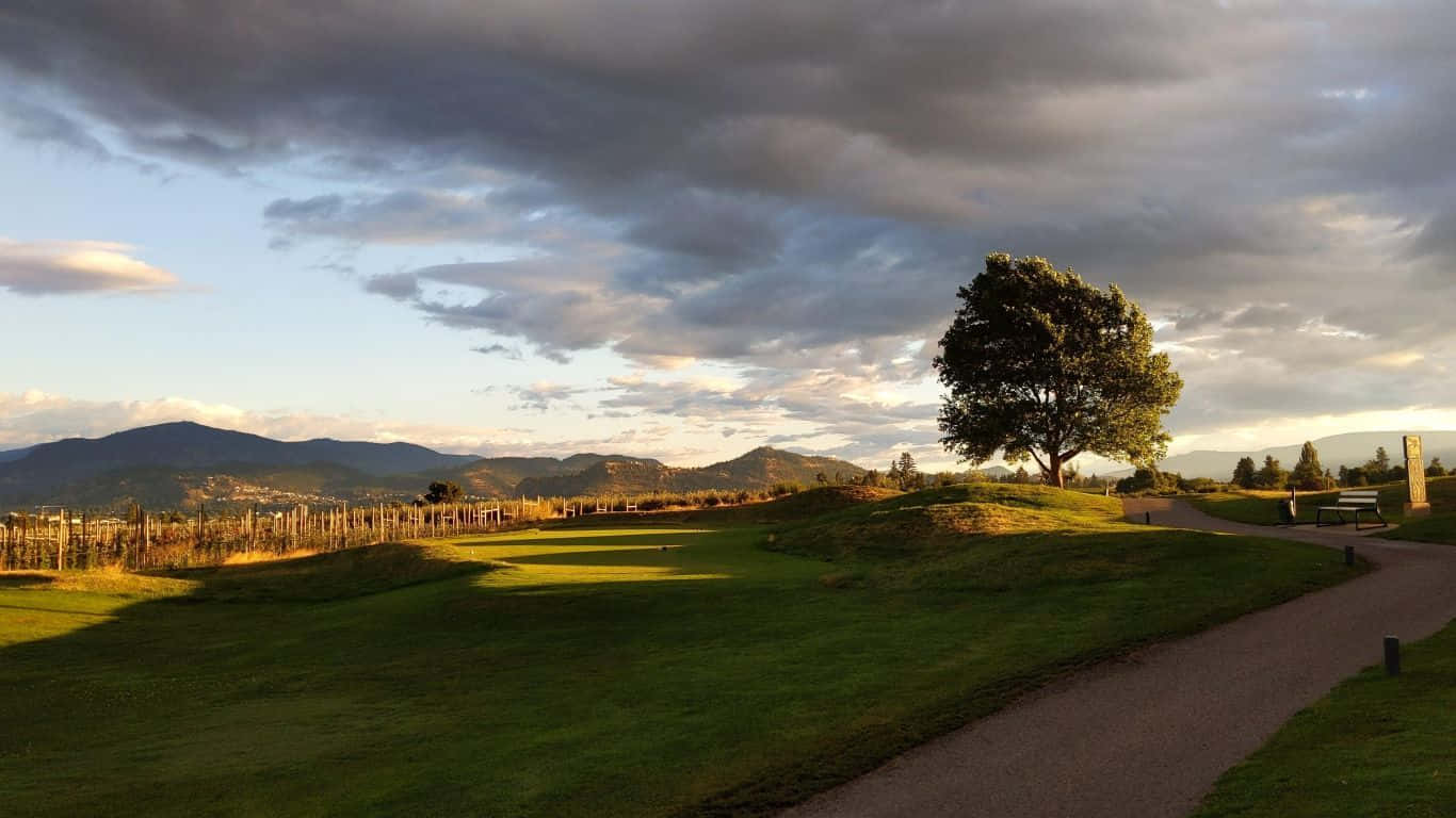 1366x768 Golf Course 桌布 壁紙 — 一棵孤獨的樹矗立在長滿草的山丘上，旁邊是一條蜿蜒的小路，在日落時分戲劇性的多雲天空下，遠處有山巒。