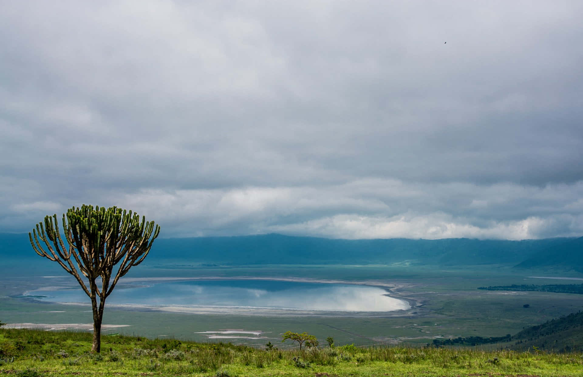 Tanzania 桌布 壁紙 — 一棵孤獨的樹矗立在長滿草的山丘上，俯瞰著廣闊的火山口湖，天空烏雲密布，景象壯觀。
