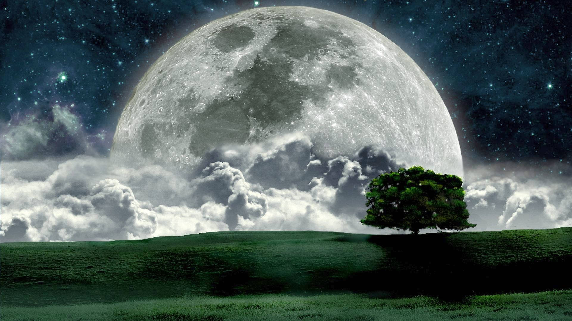 Beautiful Full Moon 桌布 壁紙 — 一棵孤獨的樹矗立在長滿草的山丘上，下方是透過星雲閃耀的巨大月亮。