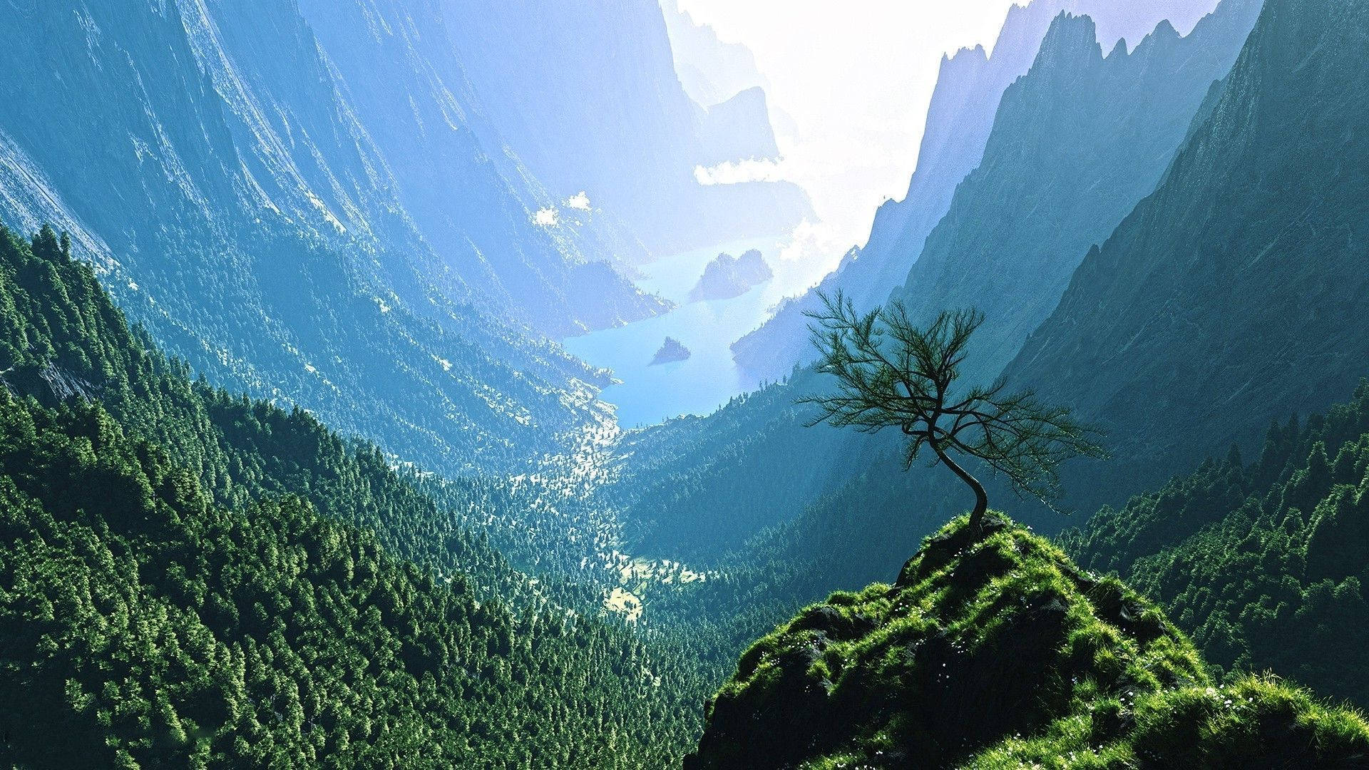 電腦 桌布 壁紙 — 一棵孤獨的樹矗立在長滿草的懸崖上，俯瞰著深谷，谷中有蜿蜒的河流和高聳的山脈，沐浴在柔和的晨光中。