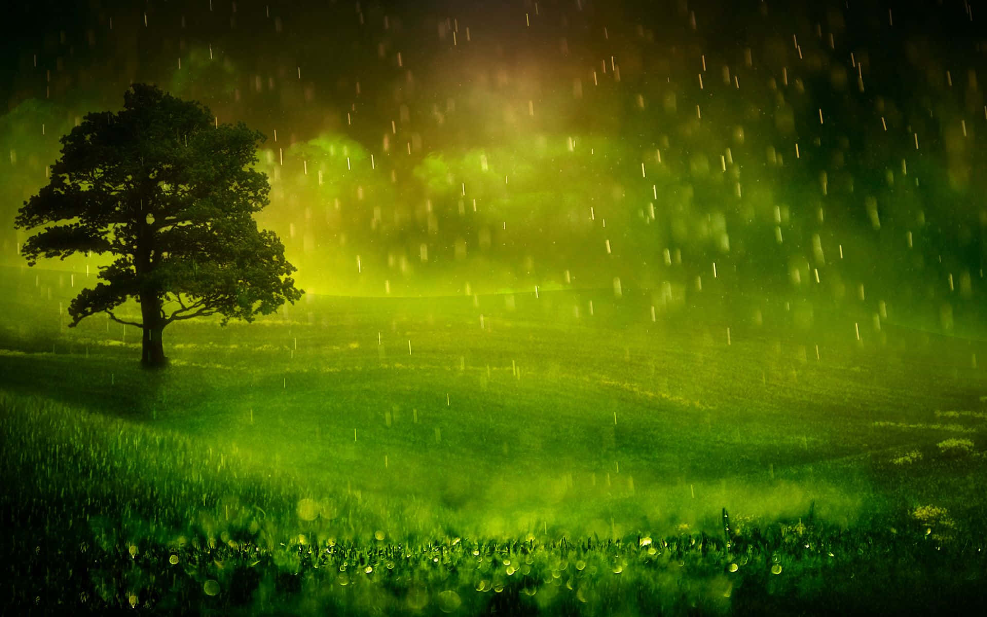 Raining 桌布 壁紙 — 一棵孤獨的樹矗立在雨水浸透的綠色田野中，天空泛著黃光，雨滴落下。