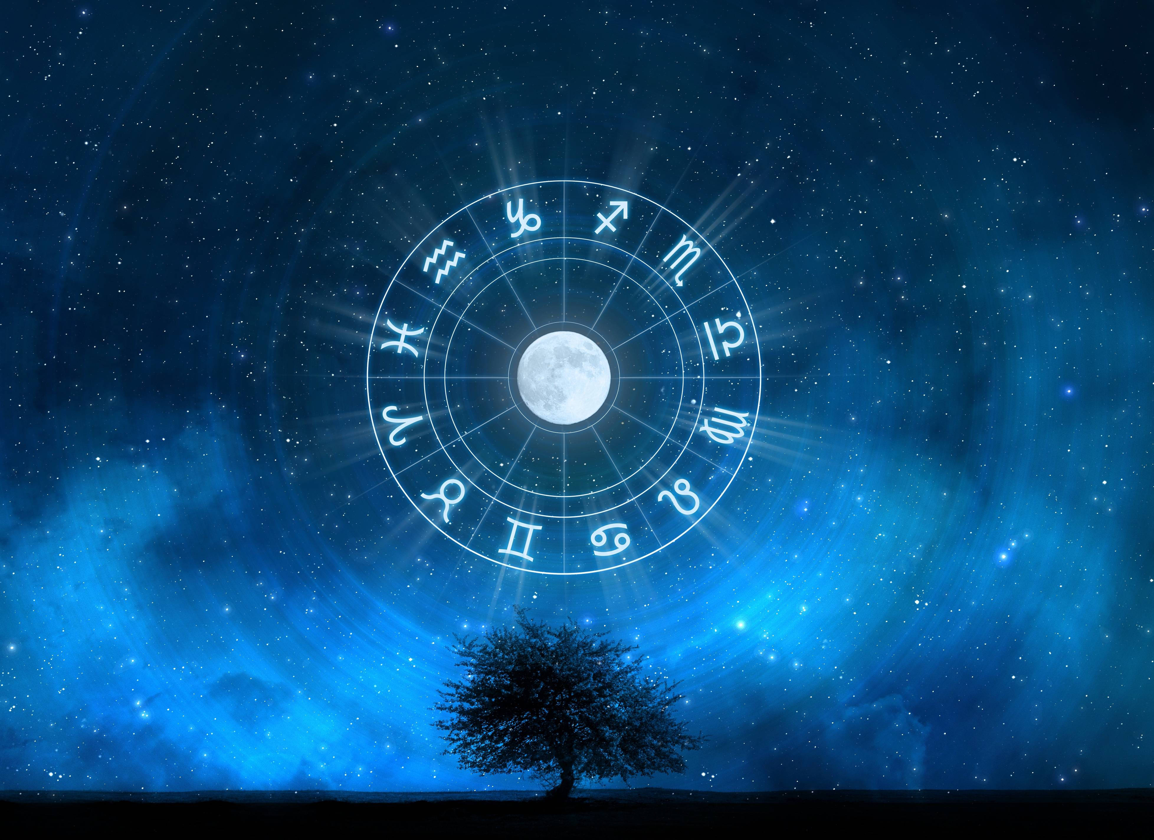 星座運勢 桌布 壁紙 — 一棵孤獨的樹立在一個發光的黃道輪下，該輪以滿月為中心，背景是繁星點點的藍色夜空。