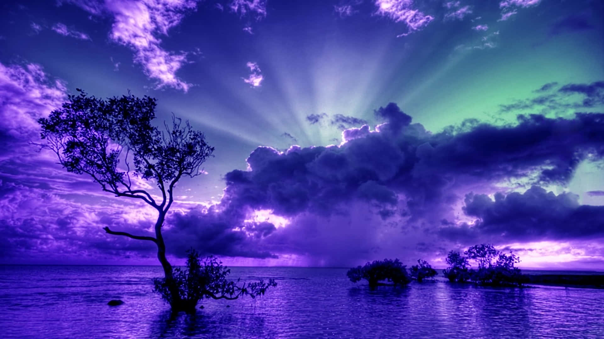 Blue And Purple Sunset 桌布 壁紙 — 一棵孤獨的樹立在水中，天空呈現戲劇性的紫色和綠色，燦爛的陽光穿過雲層。
