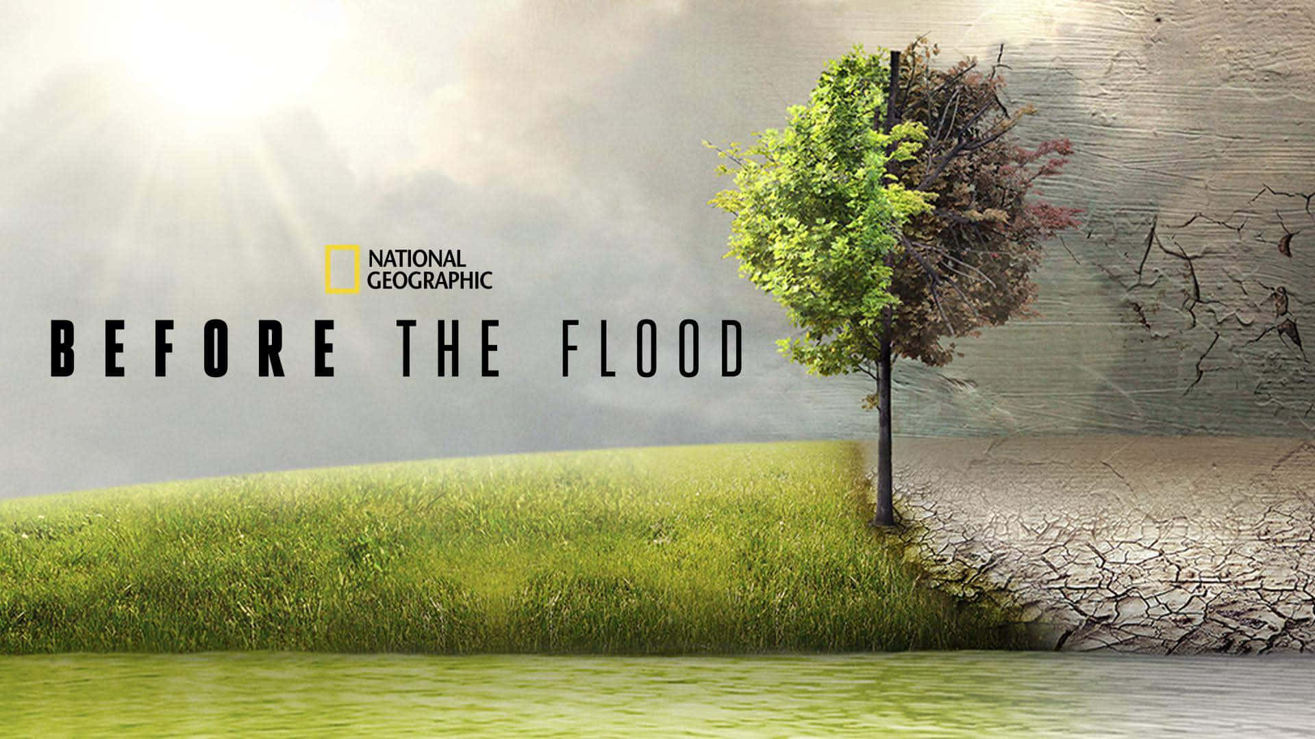 樹木在綠草和龜裂土地之間分裂，帶有「Before the Flood」文字。 — 國家地理 壁紙