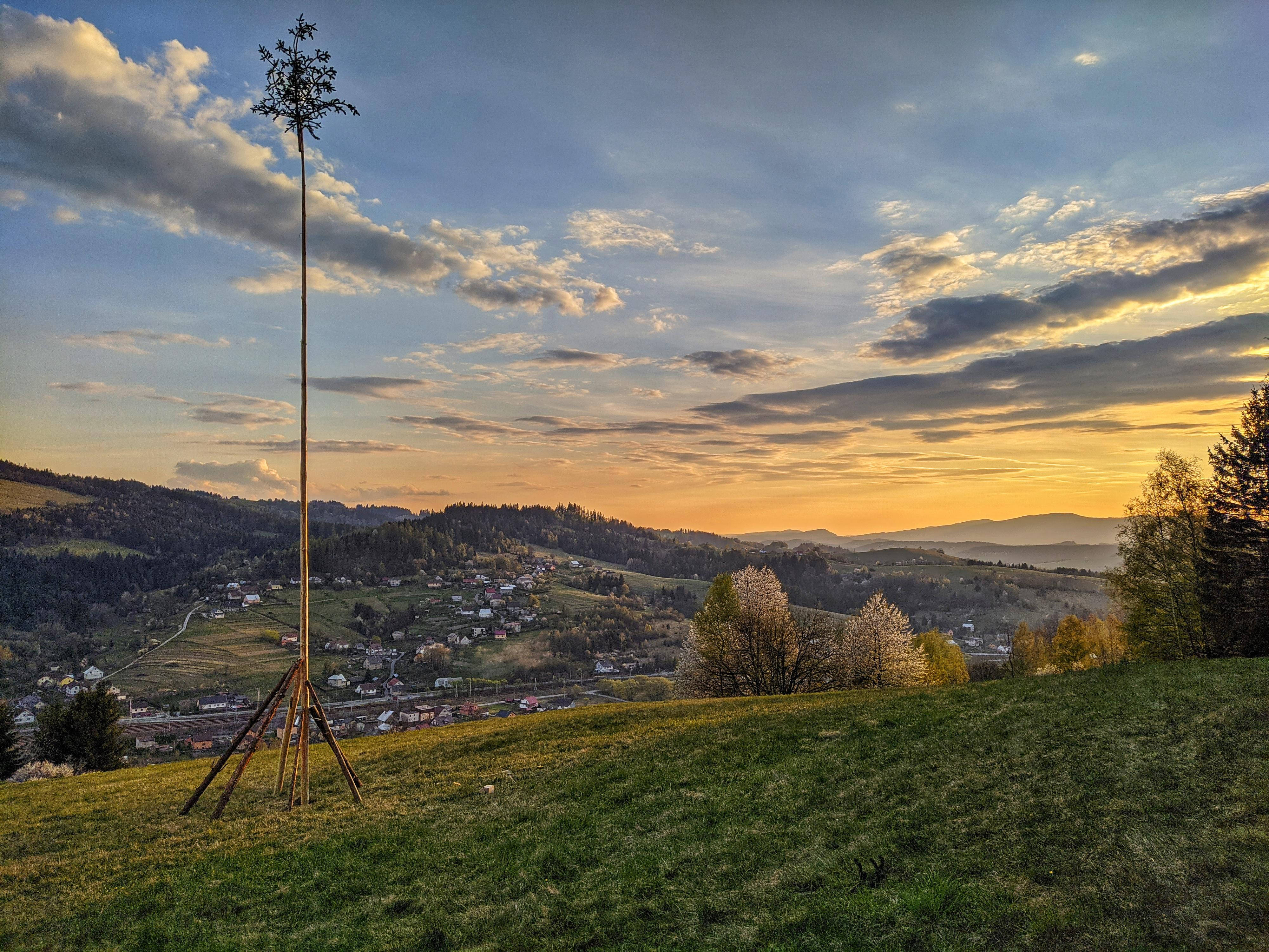 Slovakia 桌布 壁紙 — 一棵孤獨的樹苗矗立在長滿草的山丘上，俯瞰著山谷村莊，背景是金色夕陽和戲劇性的雲彩。