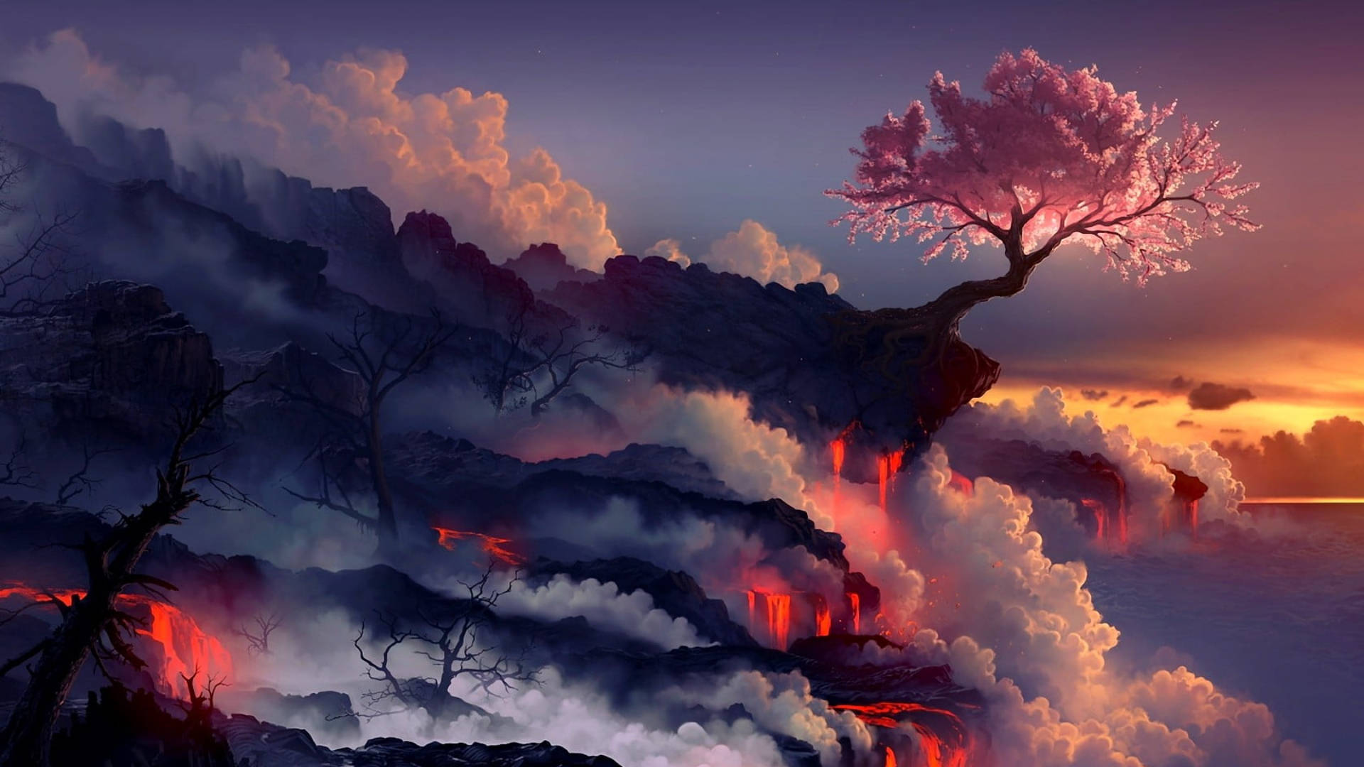 Sakura 桌布 壁紙 — 一棵孤獨的櫻花樹在火山懸崖上 defiantly 綻放，熔岩在夕陽下翻滾的雲層下方流動。