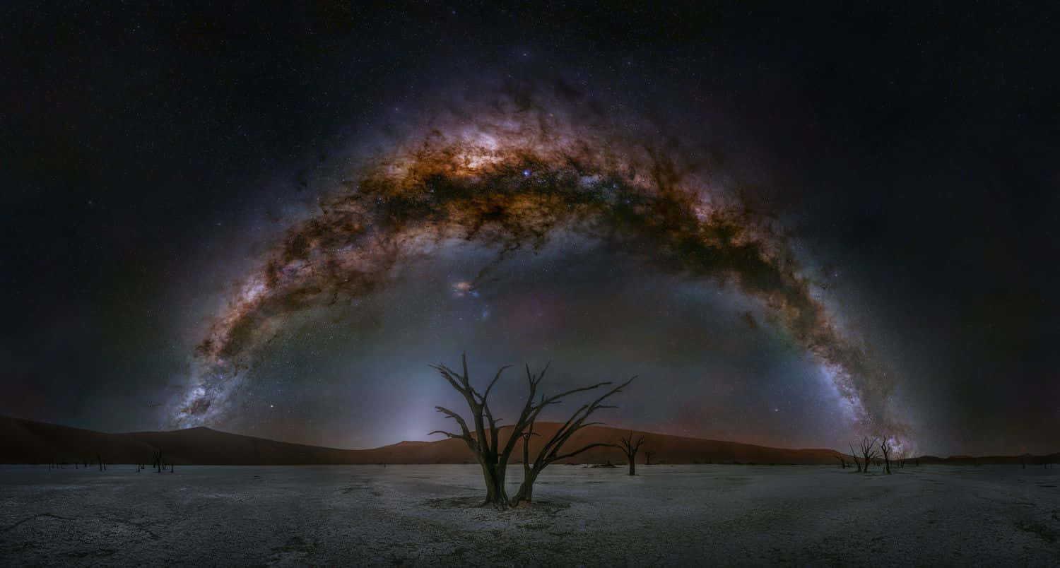 Galactic Center 桌布 壁紙 — 一棵孤獨的死樹矗立在貧瘠的沙漠中，上方是廣闊拱形的銀河系，散發著宇宙塵埃和星辰的光芒。
