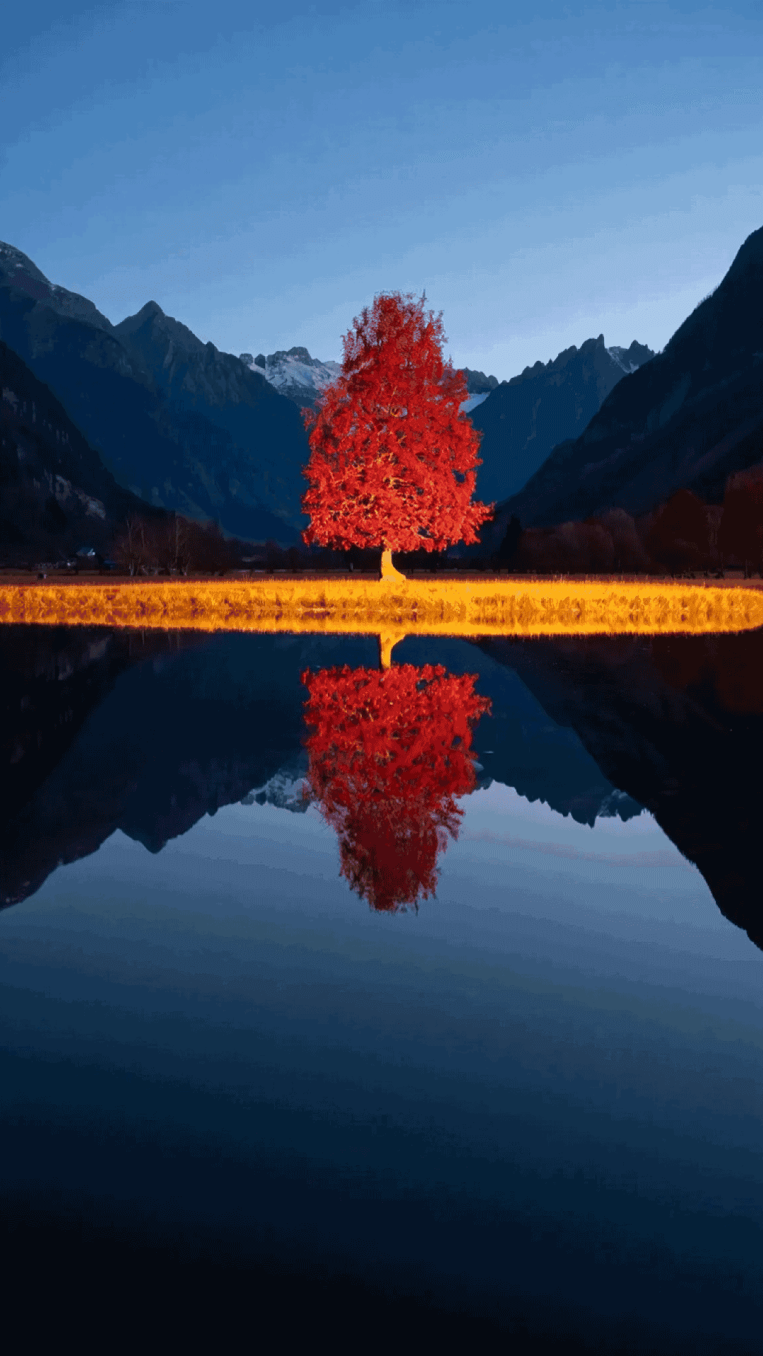 山景 桌布 壁紙 — 一棵孤獨的火紅樹立在金色草地上，旁邊是平靜的湖泊，倒映著山脈，背景是深藍色的暮色天空。