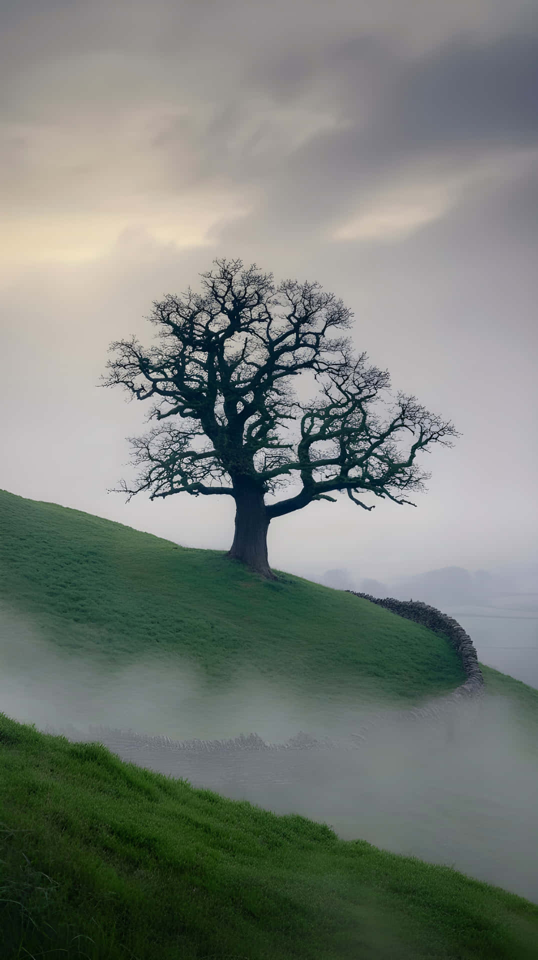 Lone Tree Silhouette on Misty Hill Under Overcast Sky 壁紙 — 一棵孤獨的無葉樹矗立在霧氣瀰漫的綠色山丘上，天空多雲，下方有一道蜿蜒的石牆。
