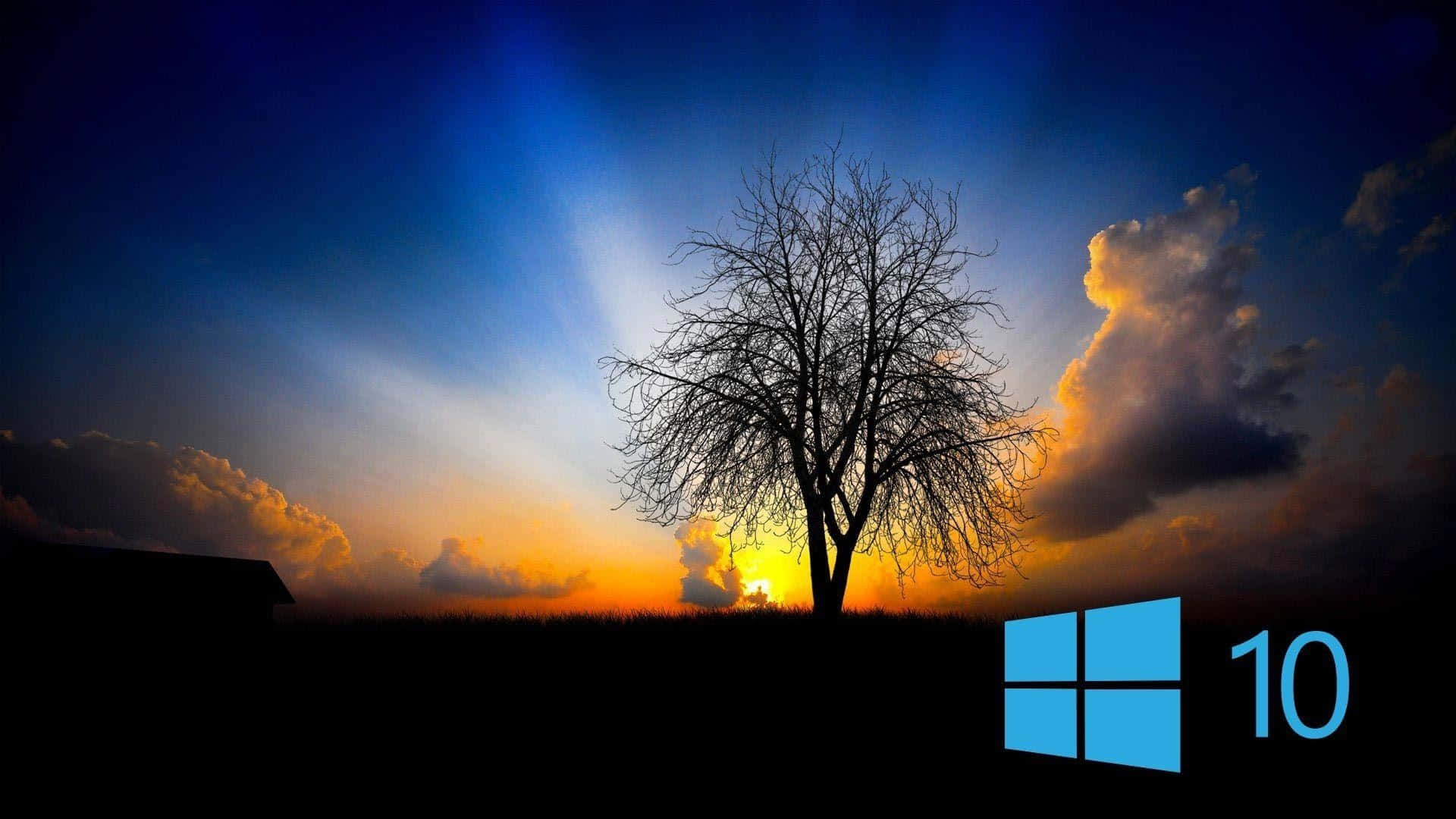 日落時禿樹的剪影，角落有Windows 10標誌。 — Windows 10 GIF 壁紙