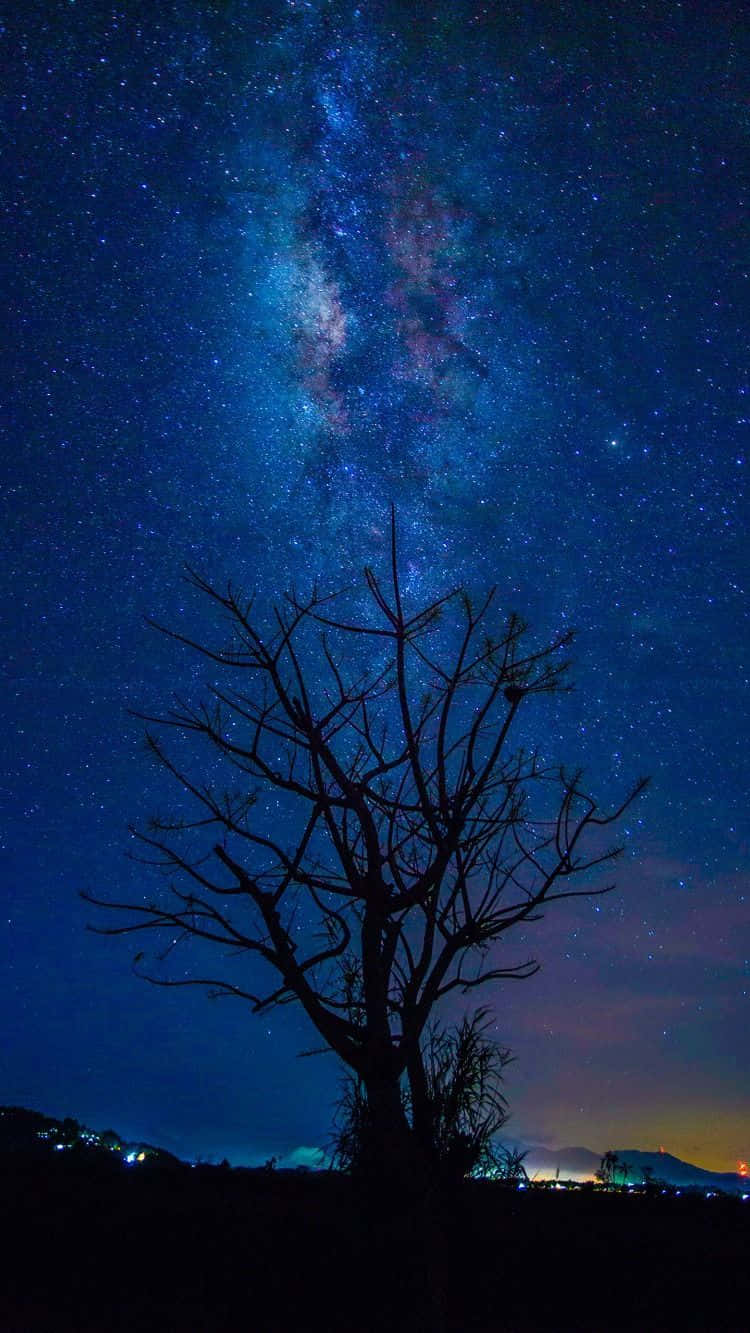 Stars 桌布 壁紙 — 一棵孤獨的禿樹在充滿活力的星空夜空下形成剪影，銀河在頭頂閃耀。