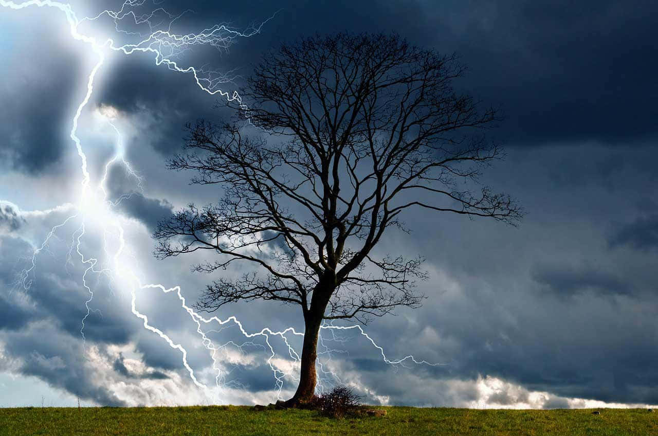 閃電 桌布 壁紙 — 一棵孤獨的禿樹在暴風雨的天空下形成剪影，明亮的閃電戲劇性地在烏雲中分叉。