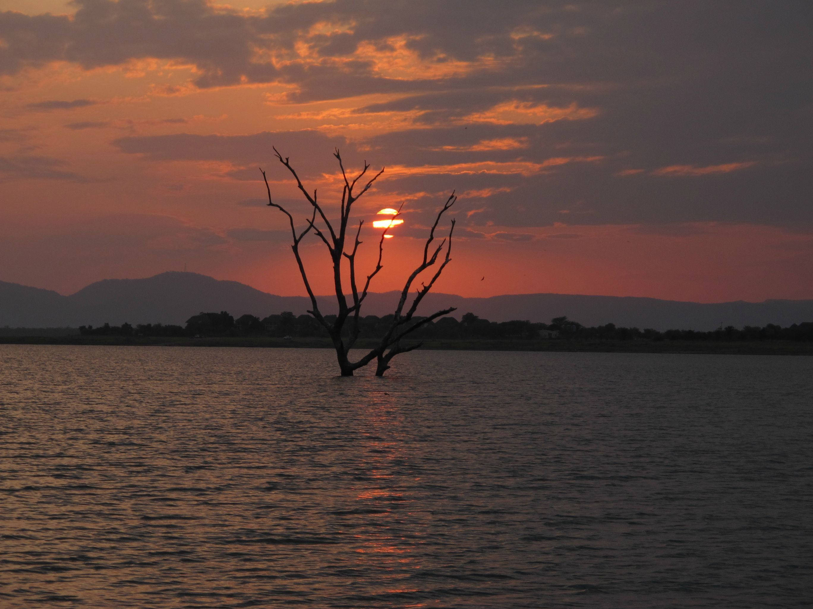 Zimbabwe 桌布 壁紙 — 一棵孤獨的禿樹矗立在平靜的水面上，夕陽在它身後落下，將火紅的橙色和紫色色調投射到天空和漣漪中。