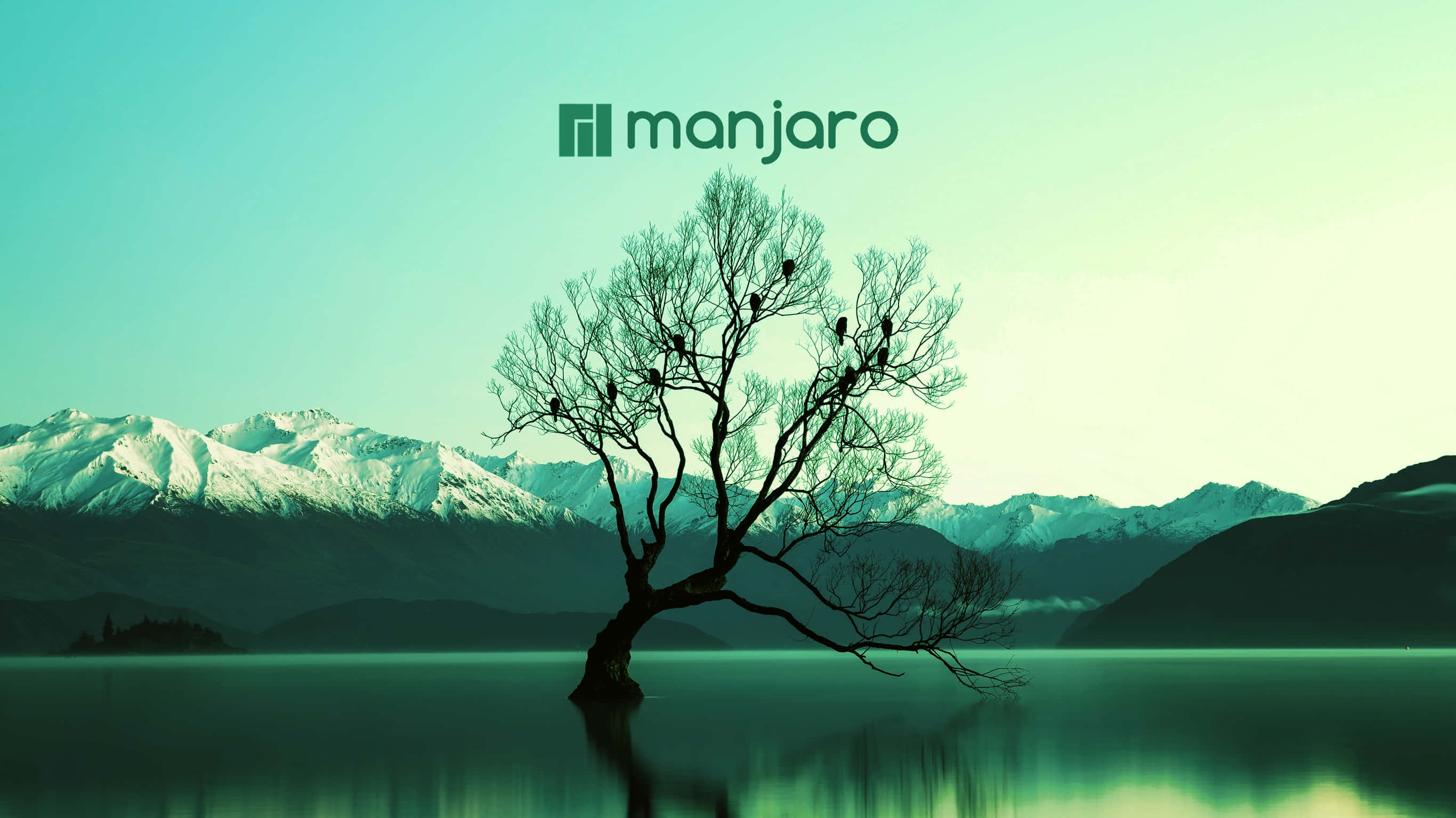 自然 桌布 壁紙 — 一棵孤獨的禿樹矗立在平靜的水面上，背景是白雪覆蓋的山脈，天空呈青綠色。