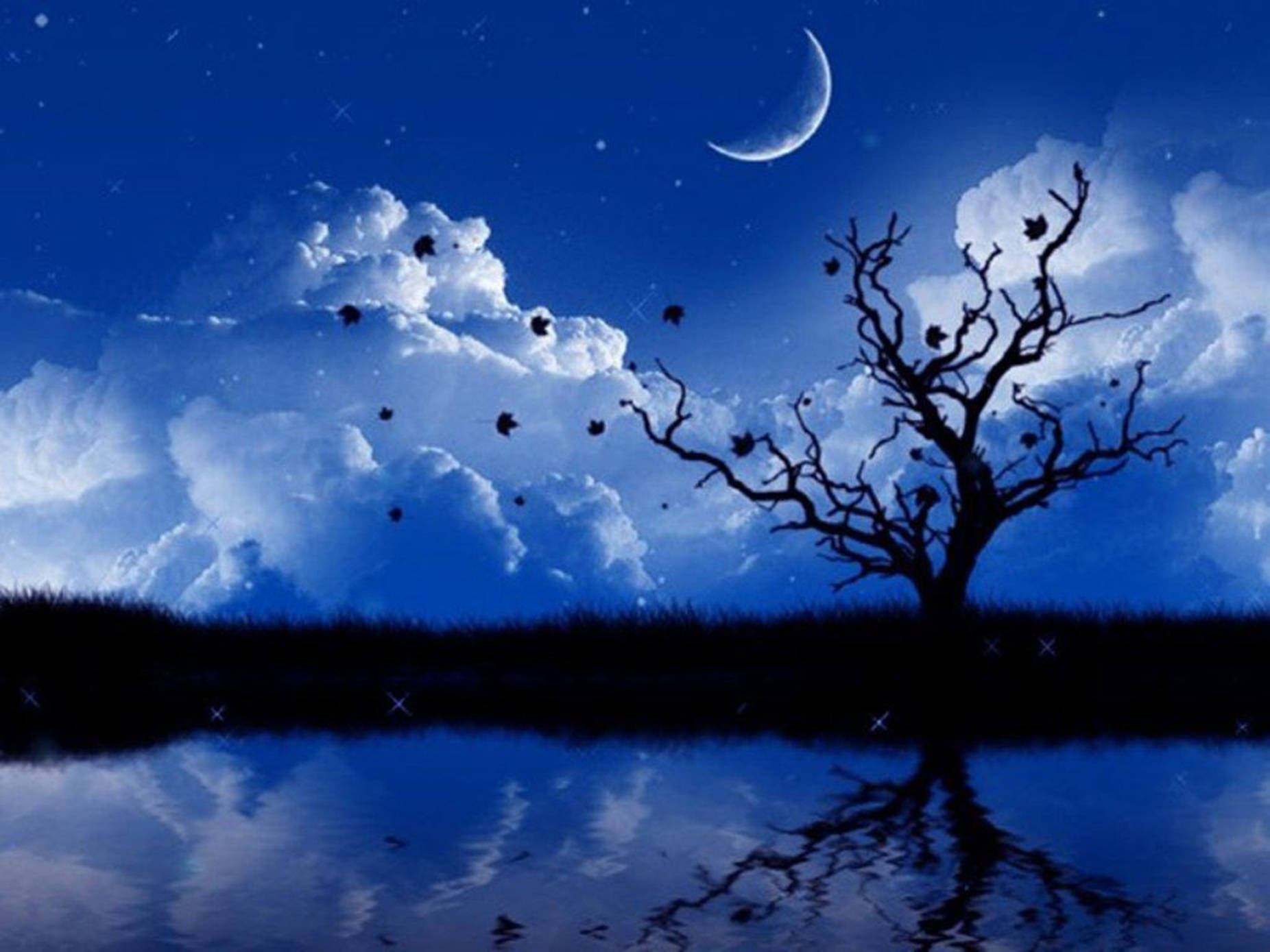 夜空 桌布 壁紙 — 一棵孤獨的禿樹矗立在水邊，下方是新月和星空，雲彩倒映在水中。