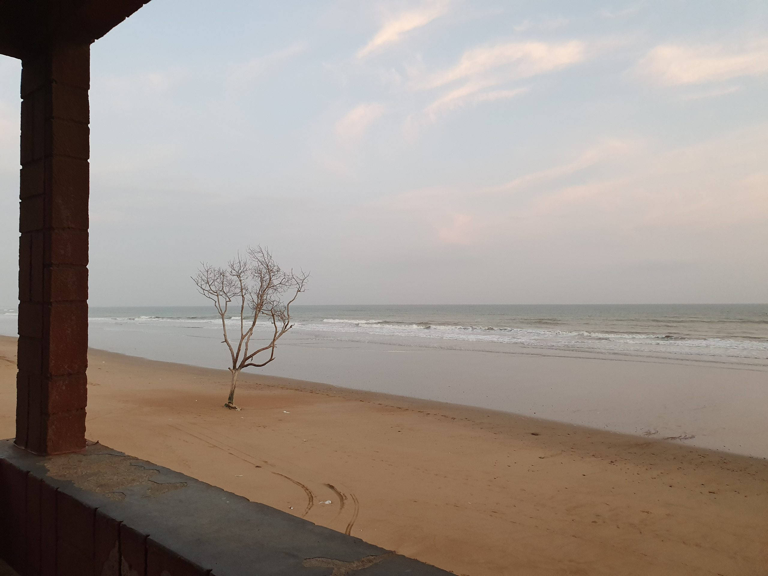 Karachi 桌布 壁紙 — 一棵孤獨的禿樹矗立在沙灘上，溫柔的海浪在柔和暮色天空下翻滾。