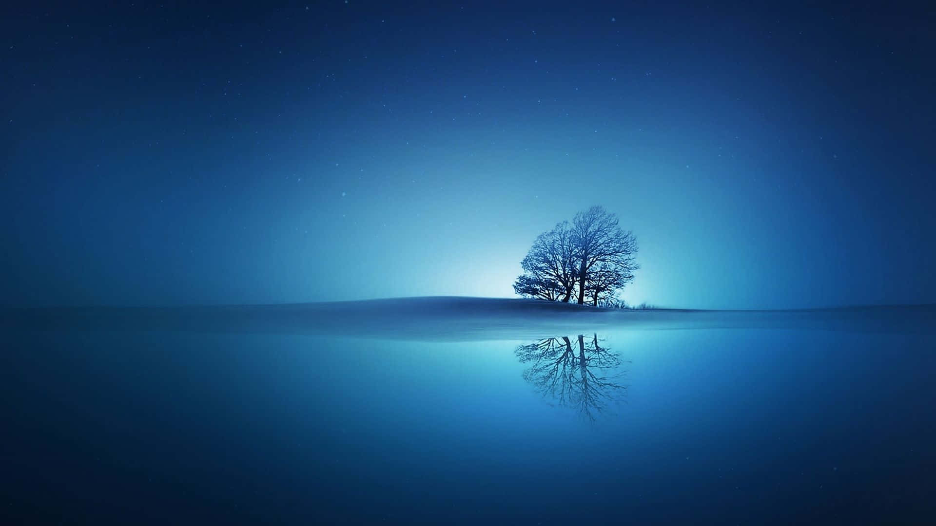 Tree 桌布 壁紙 — 一棵孤獨的禿樹矗立在雪丘上，在繁星點點的夜空下，它的倒影完美地映照在下方平靜的藍色水面上。