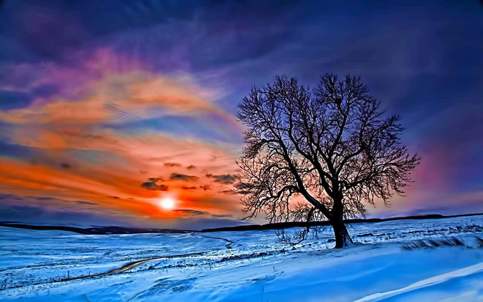 Best Winter 桌布 壁紙 — 一棵孤獨的禿樹矗立在雪地上，夕陽以火熱的橙色和深紫色渲染天空。