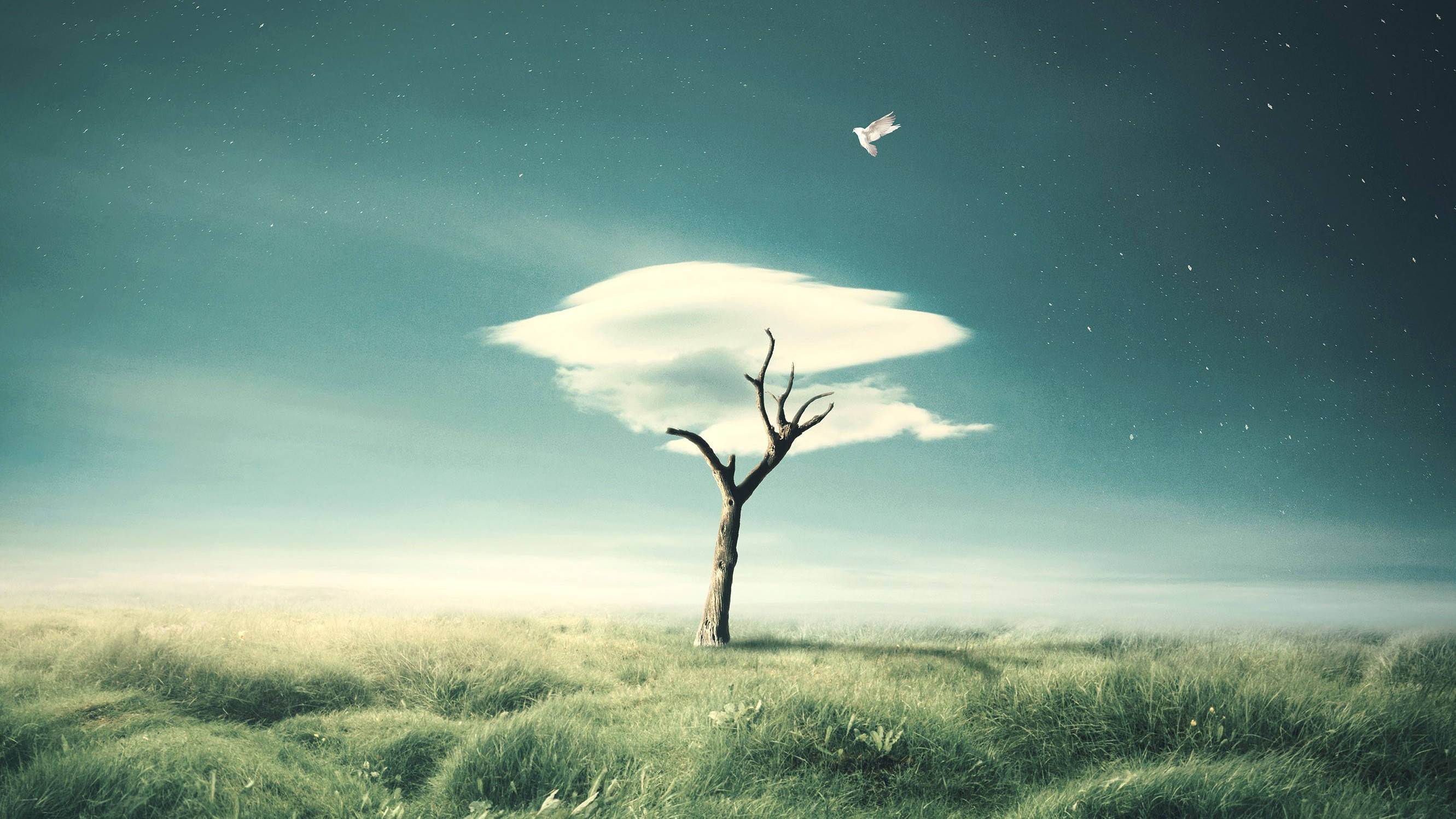 Photoshop HD 桌布 壁紙 — 一棵孤獨的禿樹矗立在霧氣瀰漫的田野中，星空下，一隻白鳥在發光的雲朵附近飛翔。