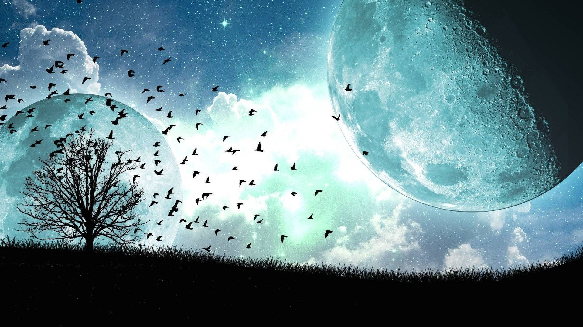 birds 桌布 壁紙 — 一棵孤獨的禿樹立在草地上，星空下有兩個大月亮和鳥兒在它們之間飛翔。