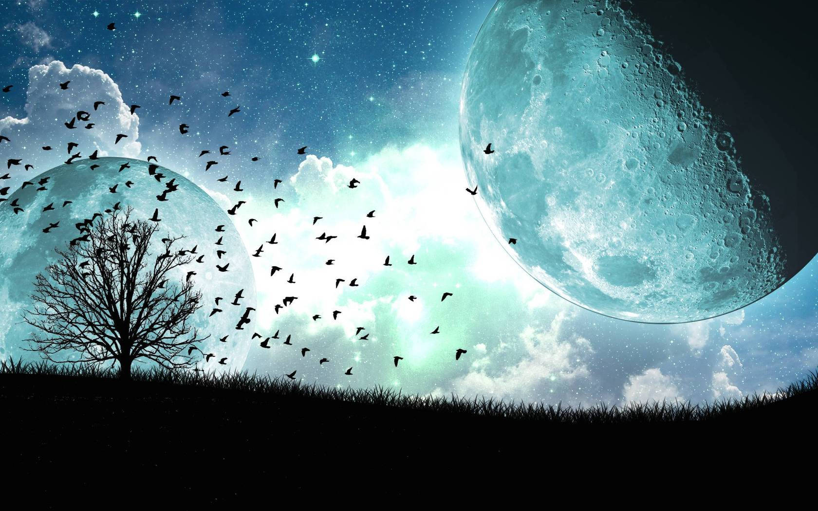 月夜星空 桌布 壁紙 — 一棵孤獨的禿樹立在草地上，星空下有兩個巨大的月亮，鳥兒在它們之間飛翔。