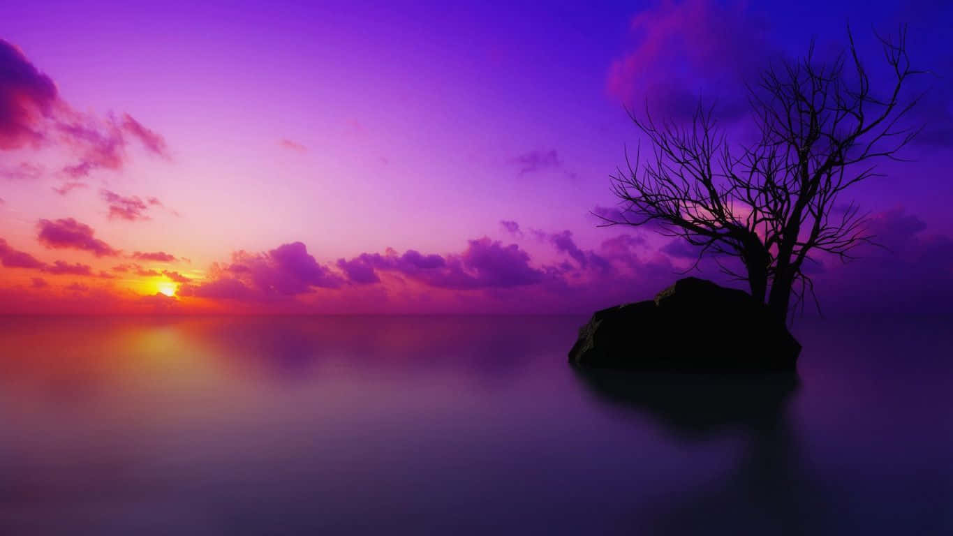 Purple Sunset 桌布 壁紙 — 一棵孤獨的禿樹立於平靜水面的岩石上，夕陽在紫色天空下呈現火橙色。
