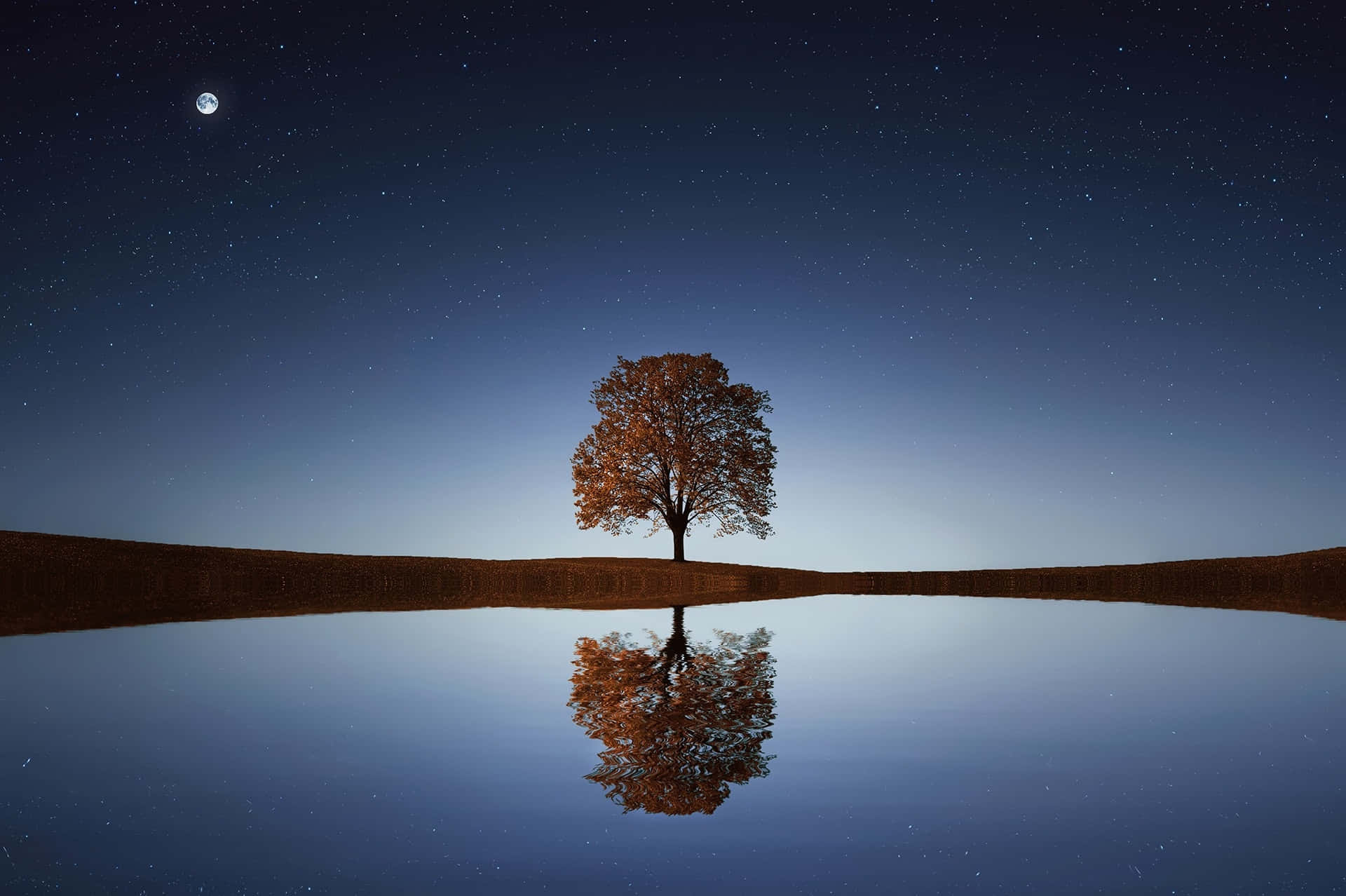 Horizon 桌布 壁紙 — 一棵孤獨的秋樹矗立在平靜的水邊，水面倒映著繁星和月亮，背景是深邃的夜空。