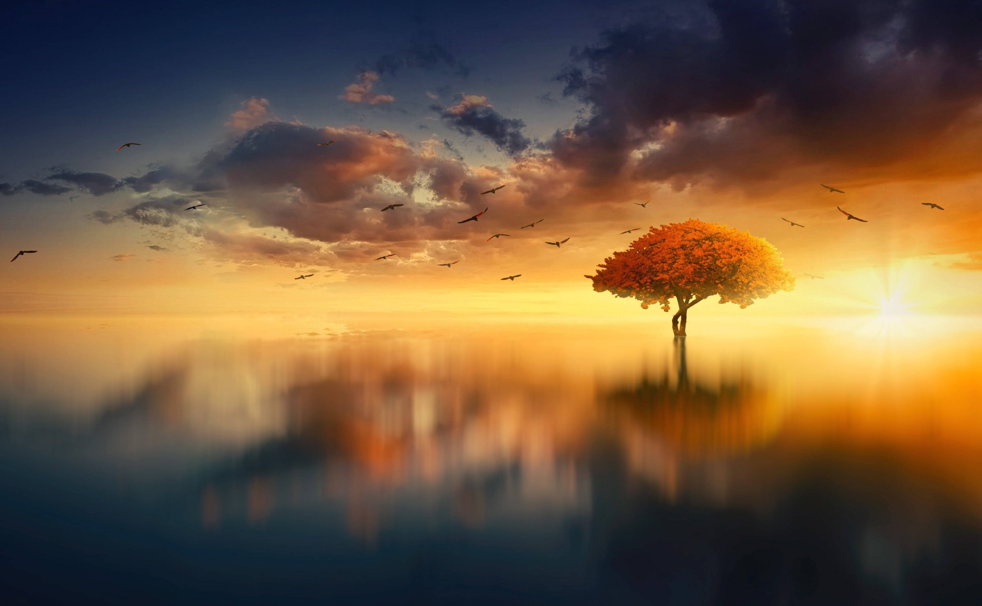 Aesthetic Sunset 桌布 壁紙 — 一棵孤獨的秋樹矗立在平靜的水面上，映照著壯麗的日落天空和飛鳥。