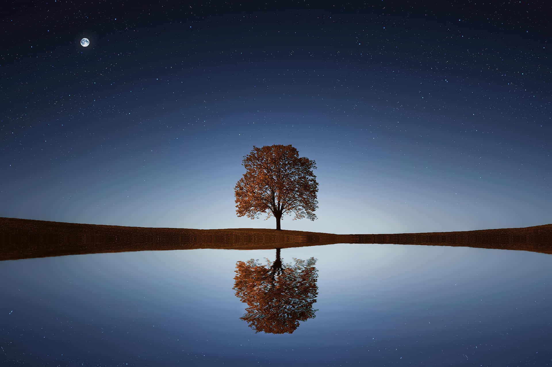 Relaxing Desktop 桌布 壁紙 — 一棵孤獨的秋樹矗立在平靜的湖邊，星空下可見月亮和完美的倒影。