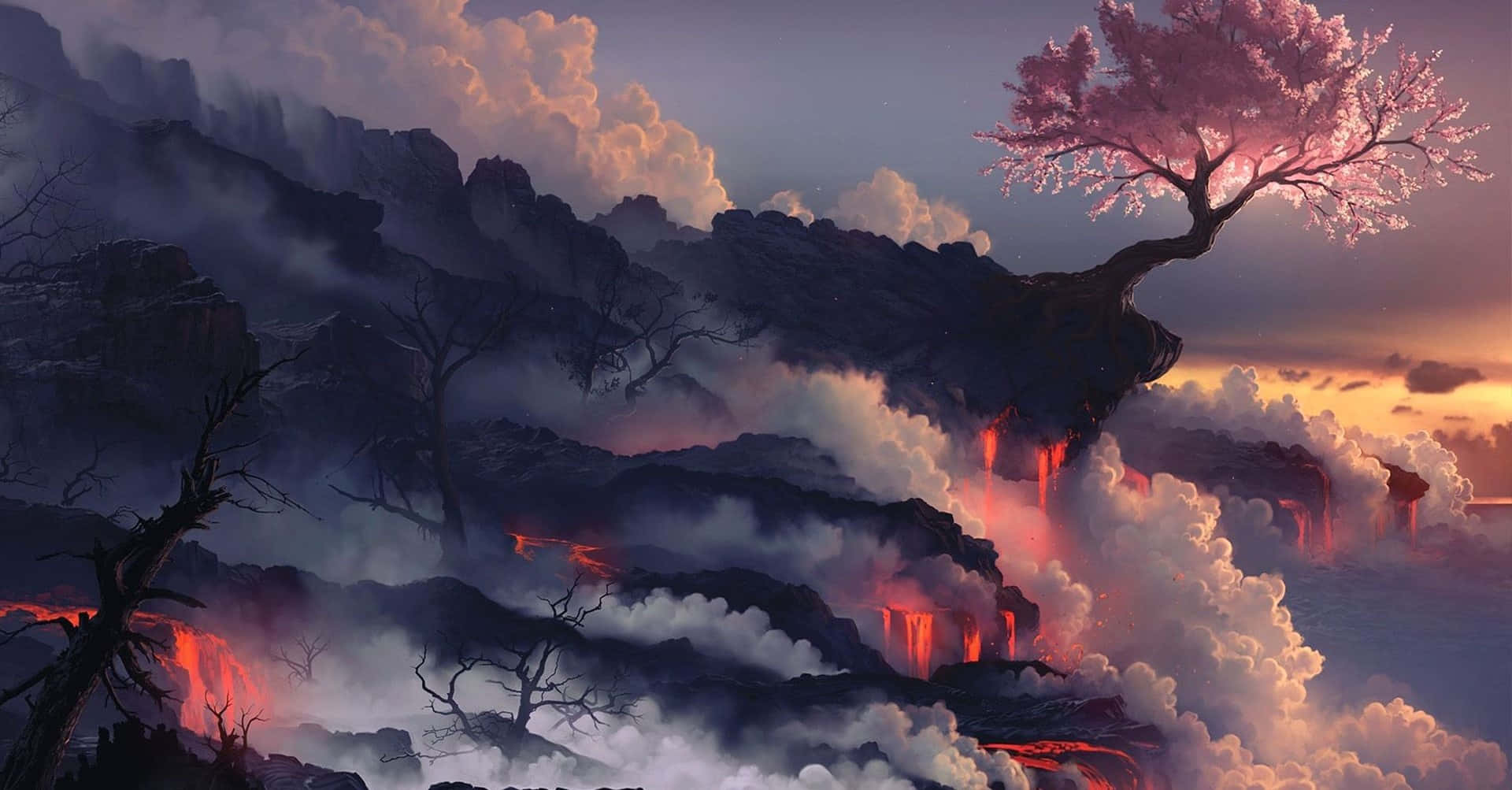 Breathtaking 桌布 壁紙 — 一棵孤獨的粉紅櫻花樹在日落時分傲然挺立在懸崖上，俯瞰著熾熱的火山景觀。