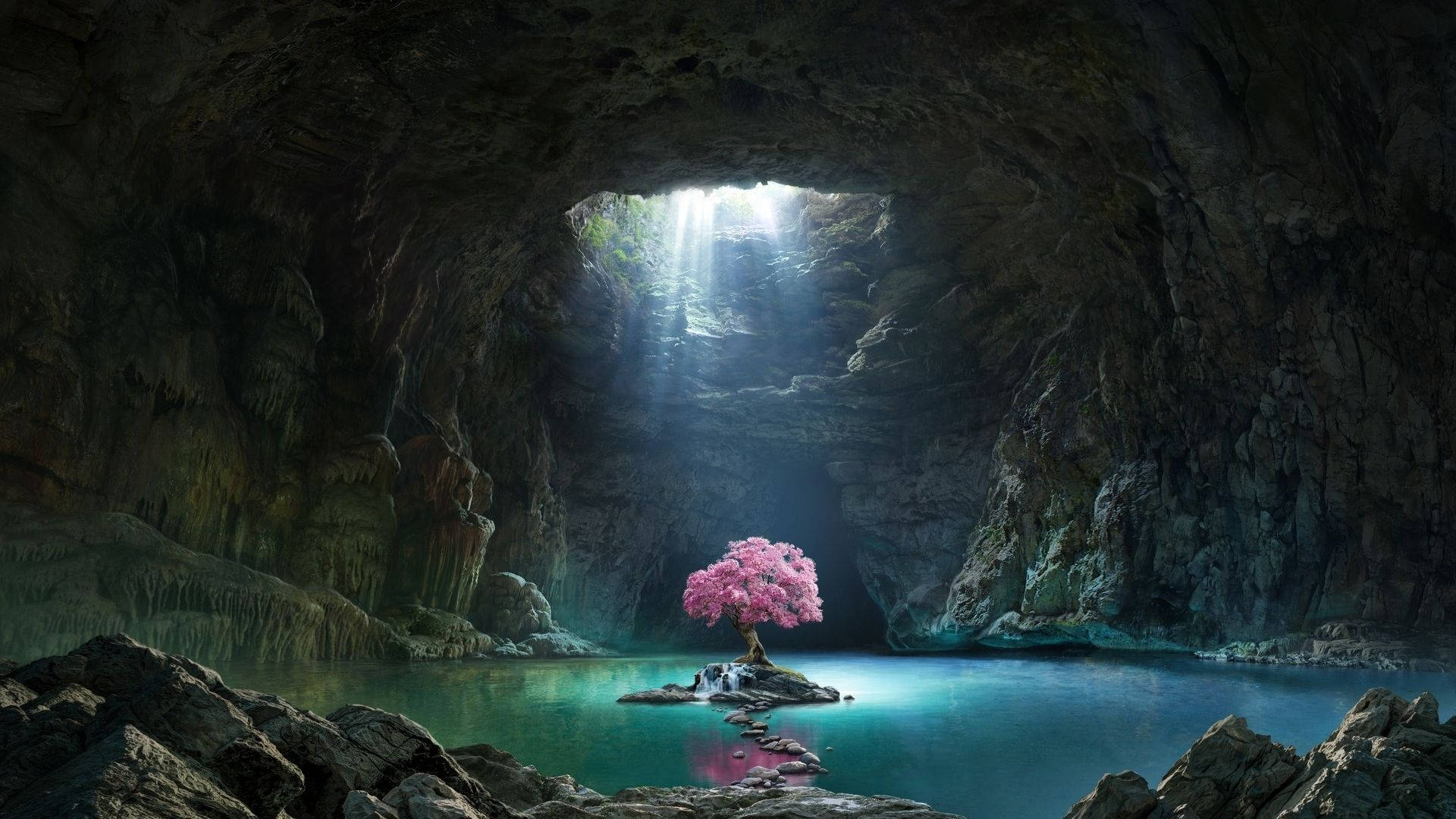 Cave 桌布 壁紙 — 一棵孤獨的粉紅色櫻花樹矗立在岩石上，位於寧靜的藍綠色洞穴湖中，沐浴在從高處開口傾瀉而下的神聖陽光中。