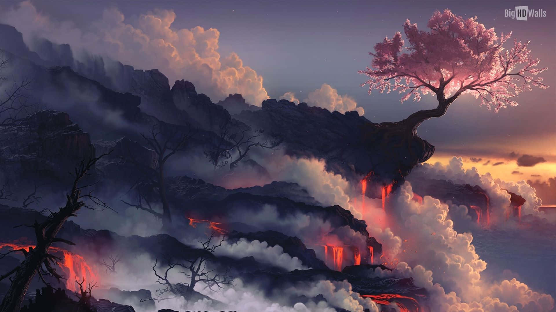 Japan Landscape 桌布 壁紙 — 一棵孤獨的粉紅色櫻花樹矗立在懸崖上，俯瞰著日落時分發光的熔岩流和霧氣繚繞的雲層。