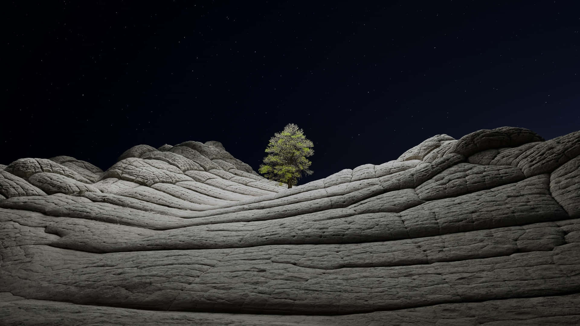 桌布 壁紙 — 一棵孤獨的綠樹堅韌地矗立在紋理灰岩層之上，背景是繁星點點的夜空。